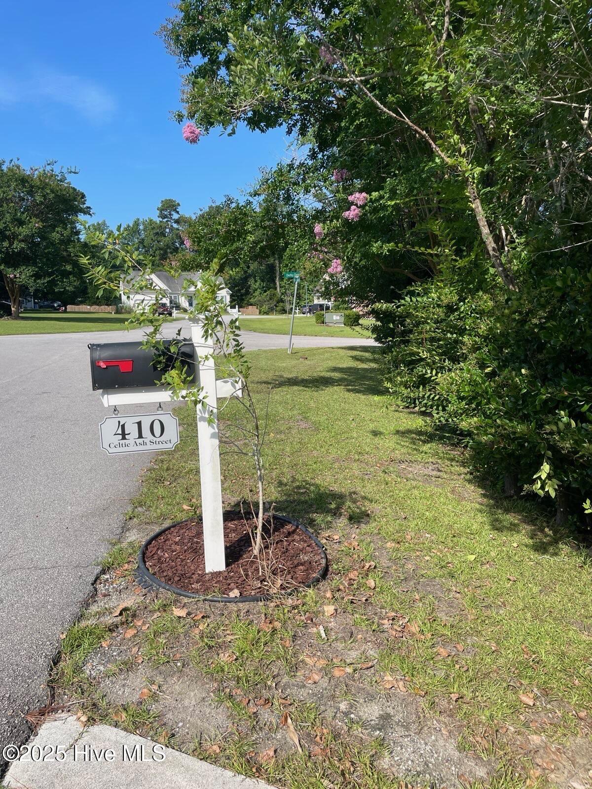 100522001 | Photo 64