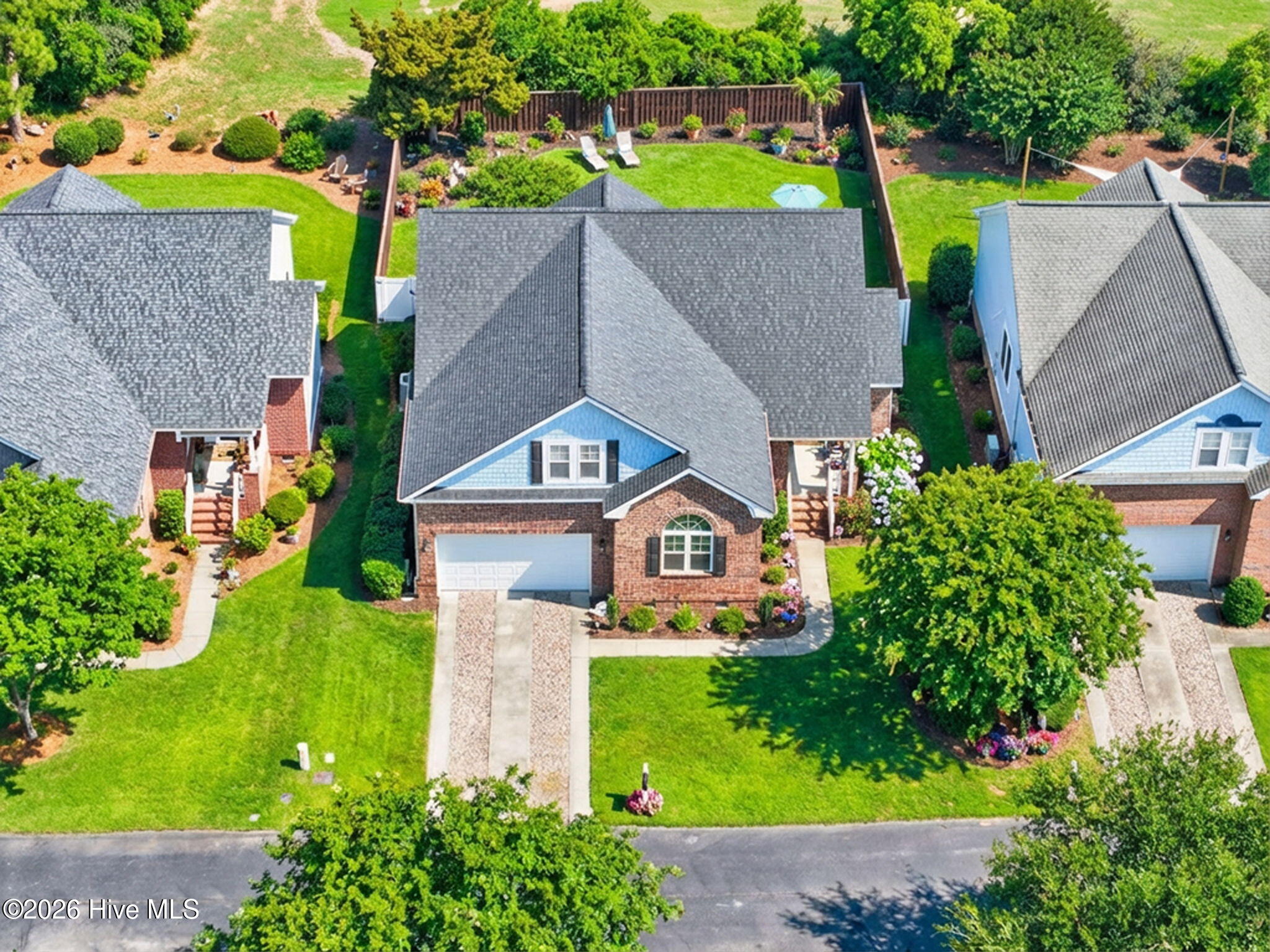 100558158 | Photo 11