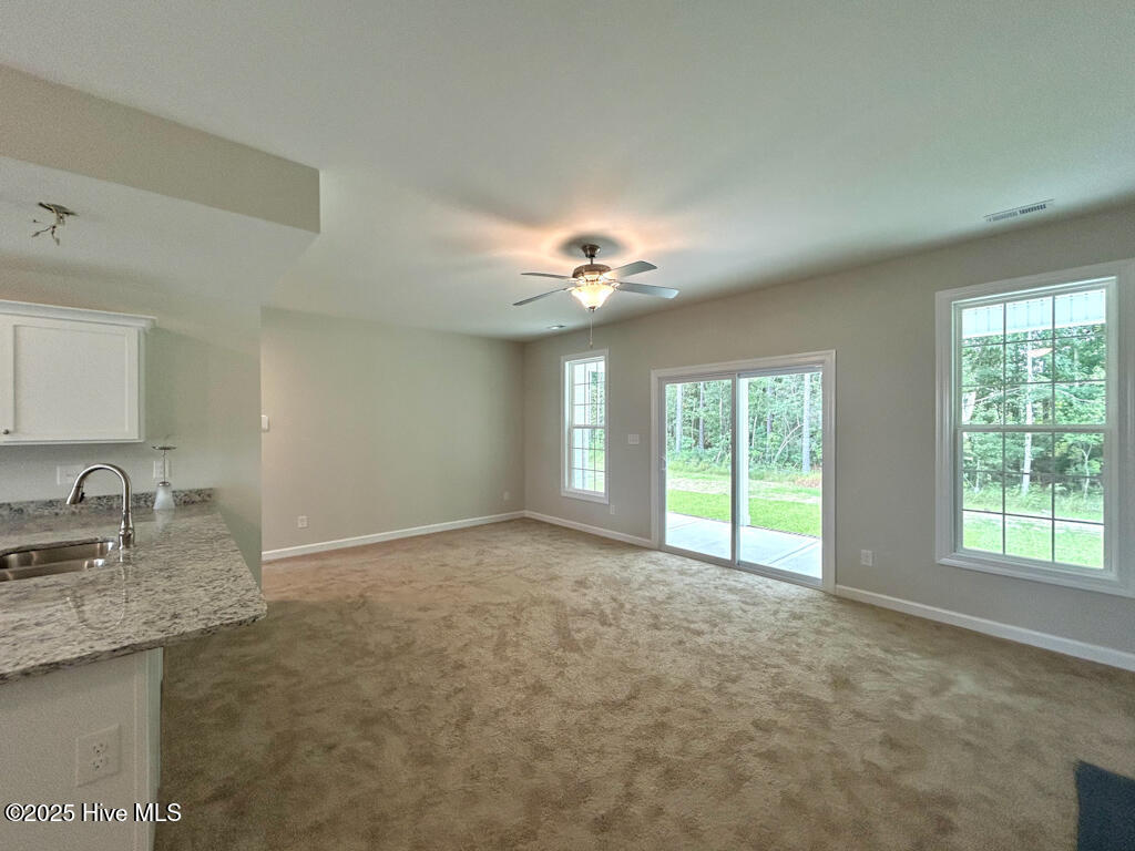 100513411 | Photo 21