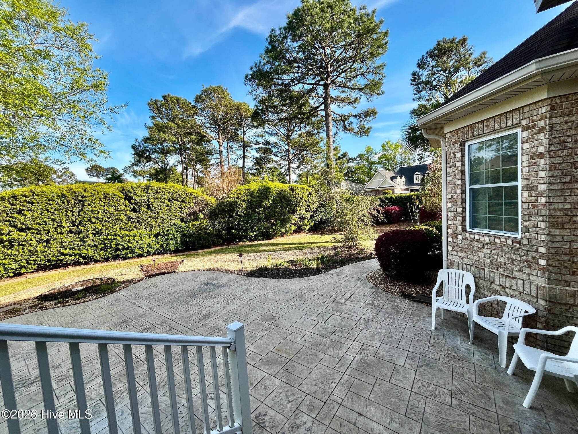 100566129 | Photo 43