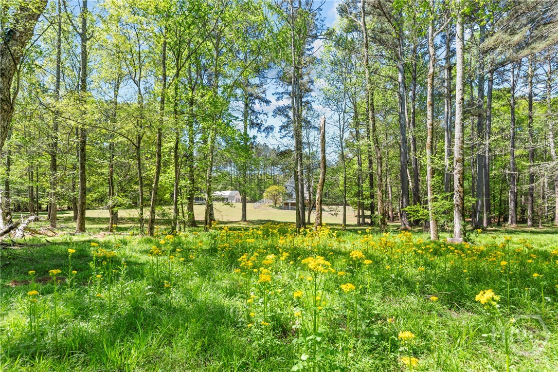 599 Double Branch Road, Danielsville, GA, 30633