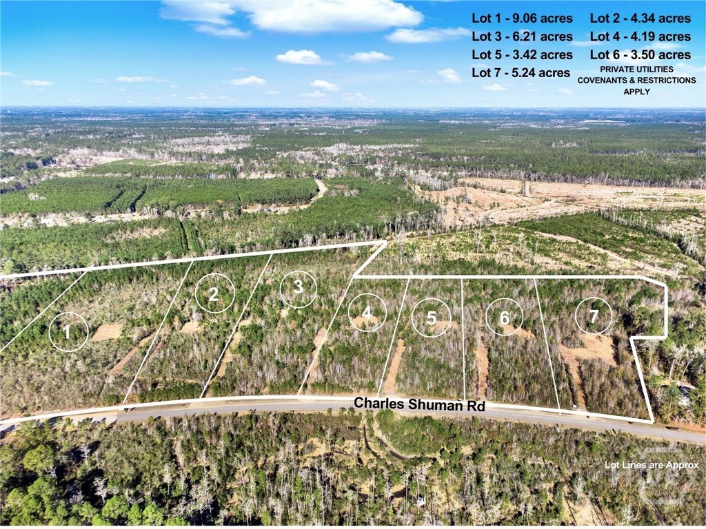 Homes for sale in Pembroke, GA | Lot 1 Charles Shuman Rd, Pembroke, GA 31321 | MLS# SA340256