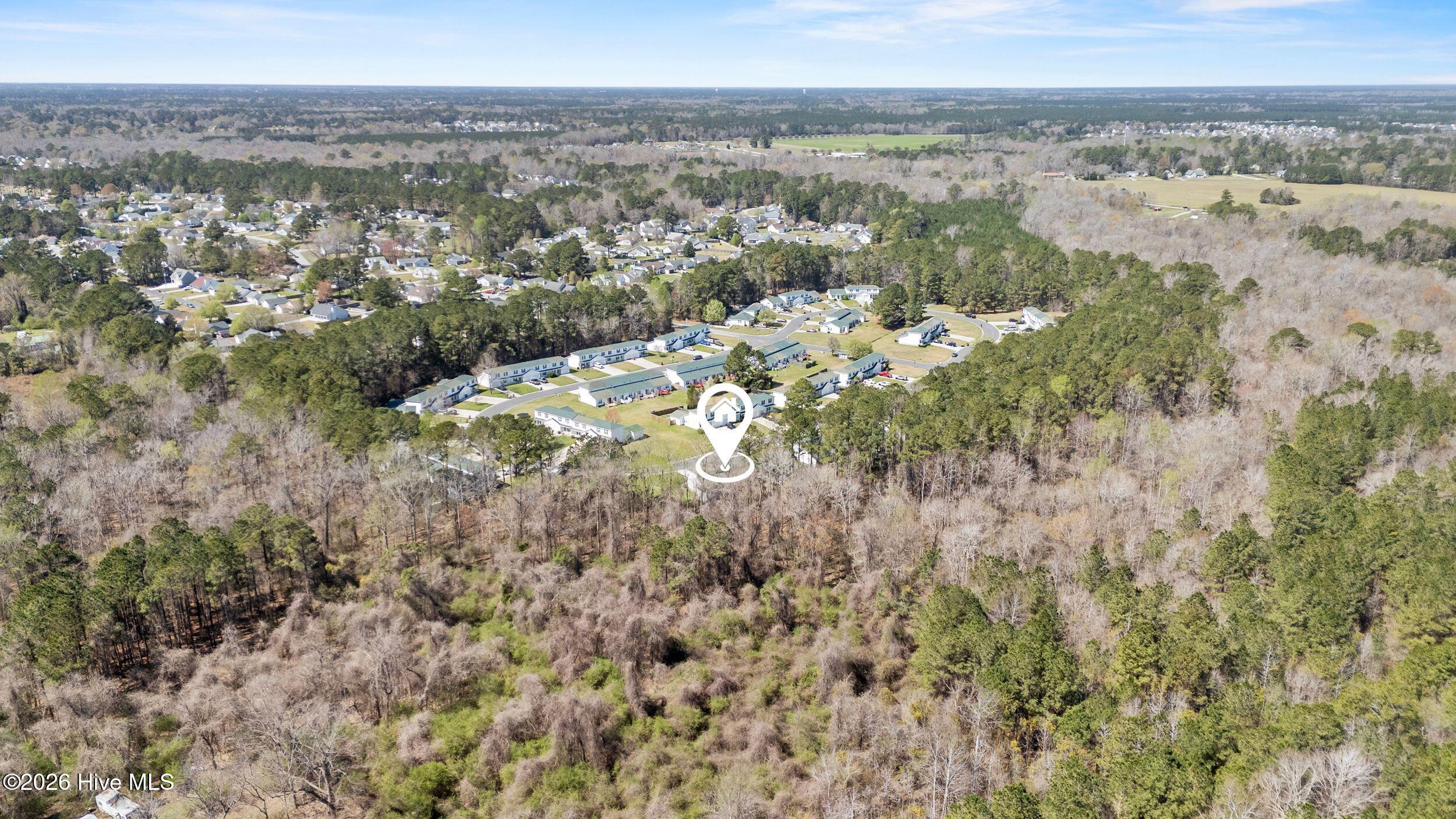 100561186 | Photo 35