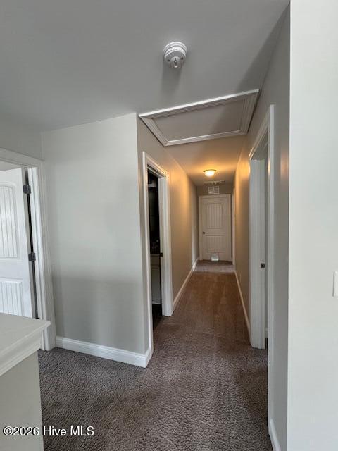 100550451 | Photo 16