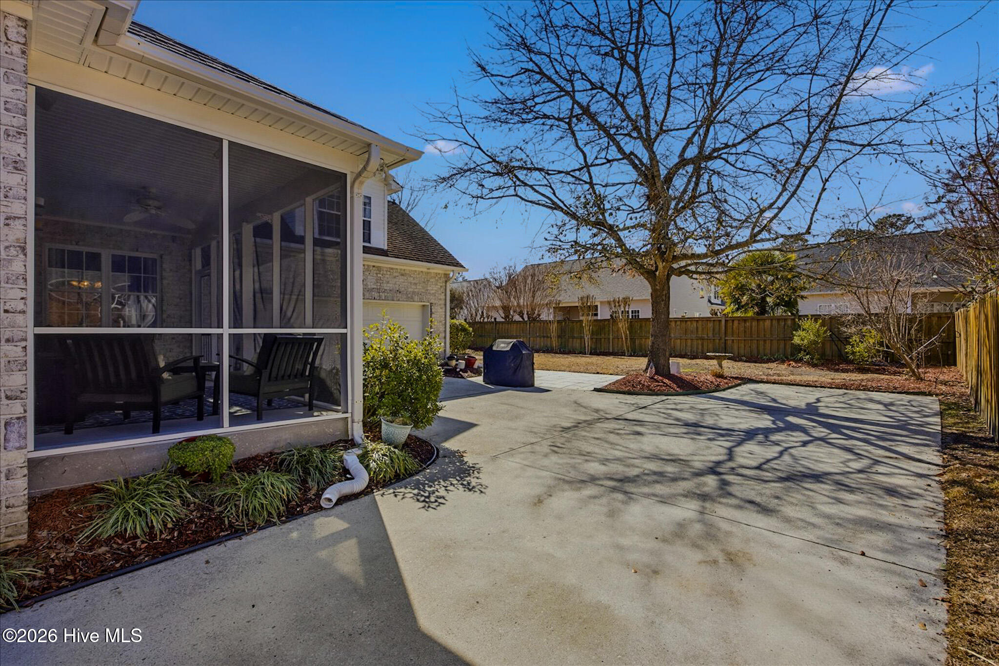 100554989 | Photo 43