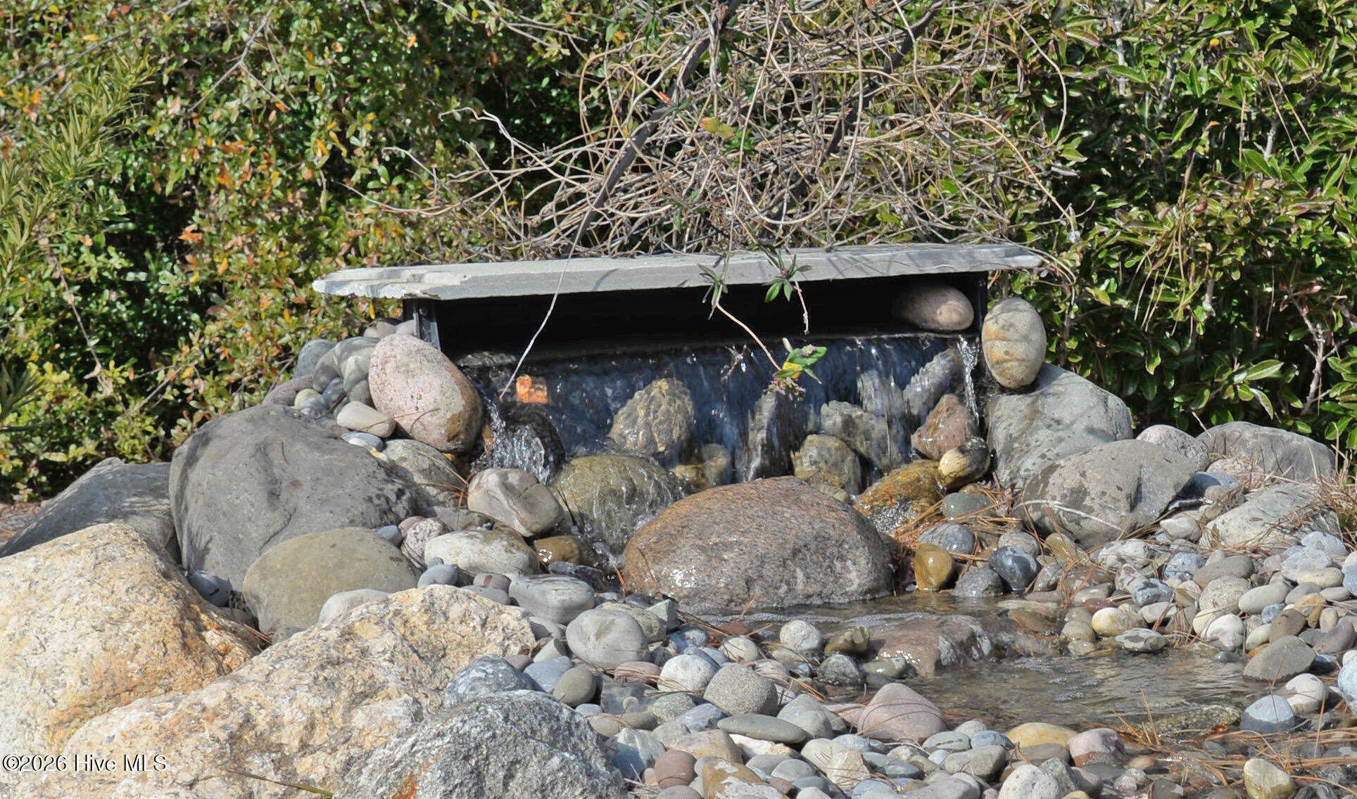 100547718 | Photo 29