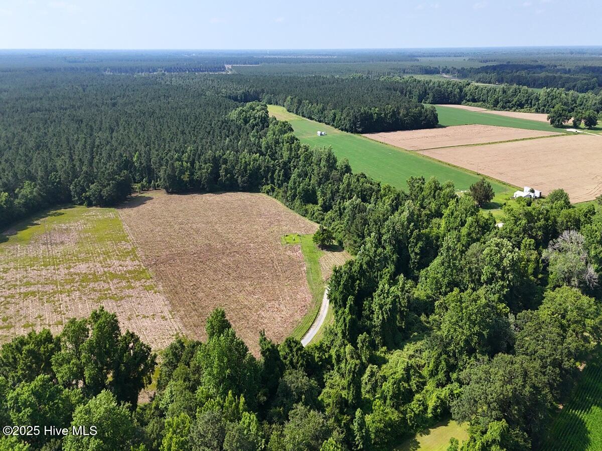 100513588 | Photo 24