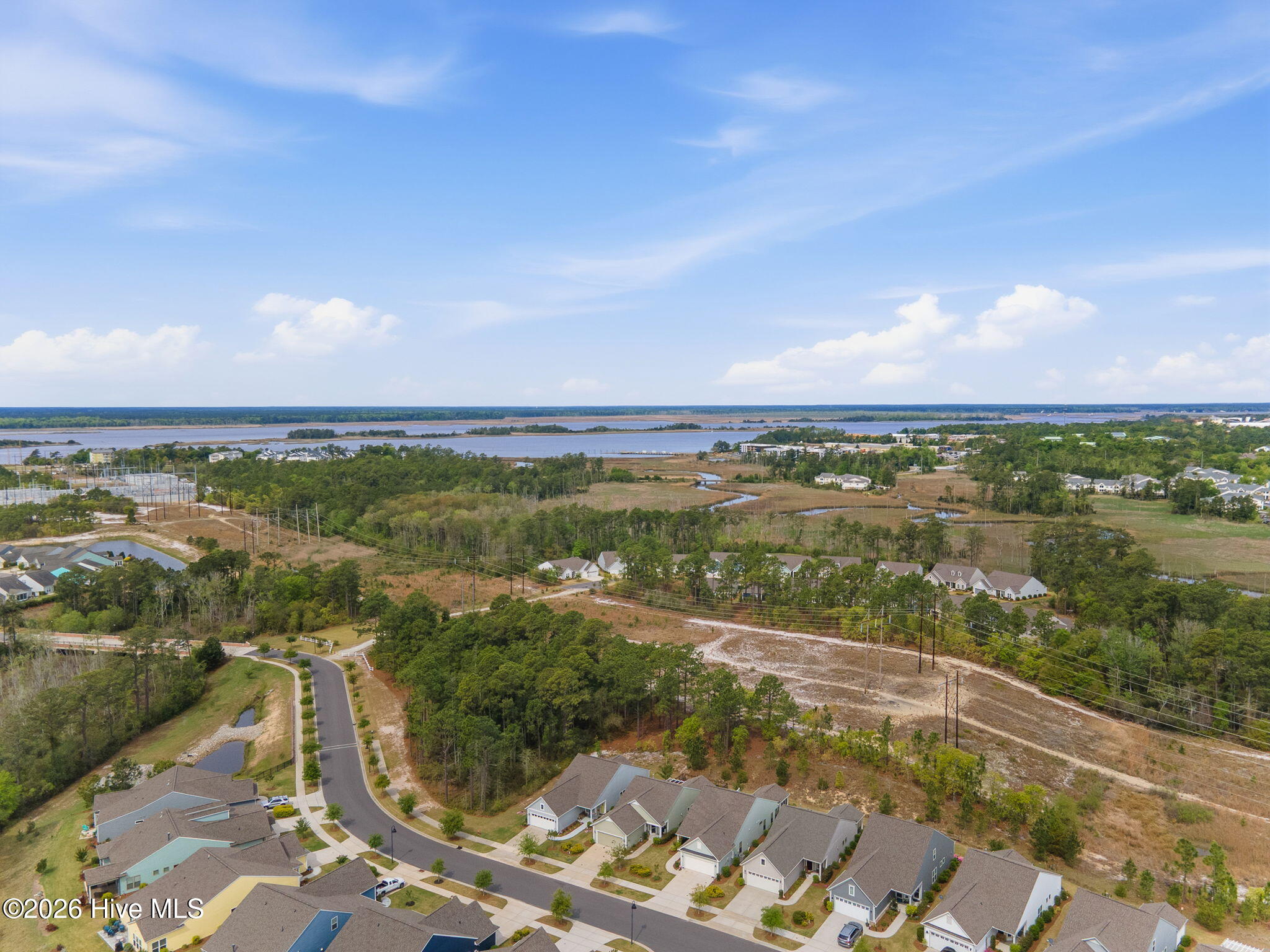 100565858 | Photo 50