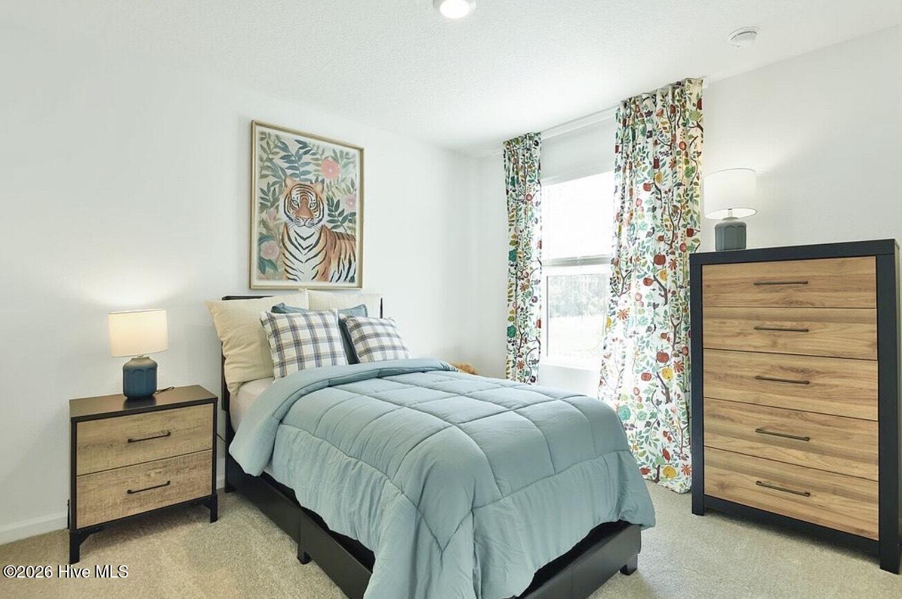 100554548 | Photo 10