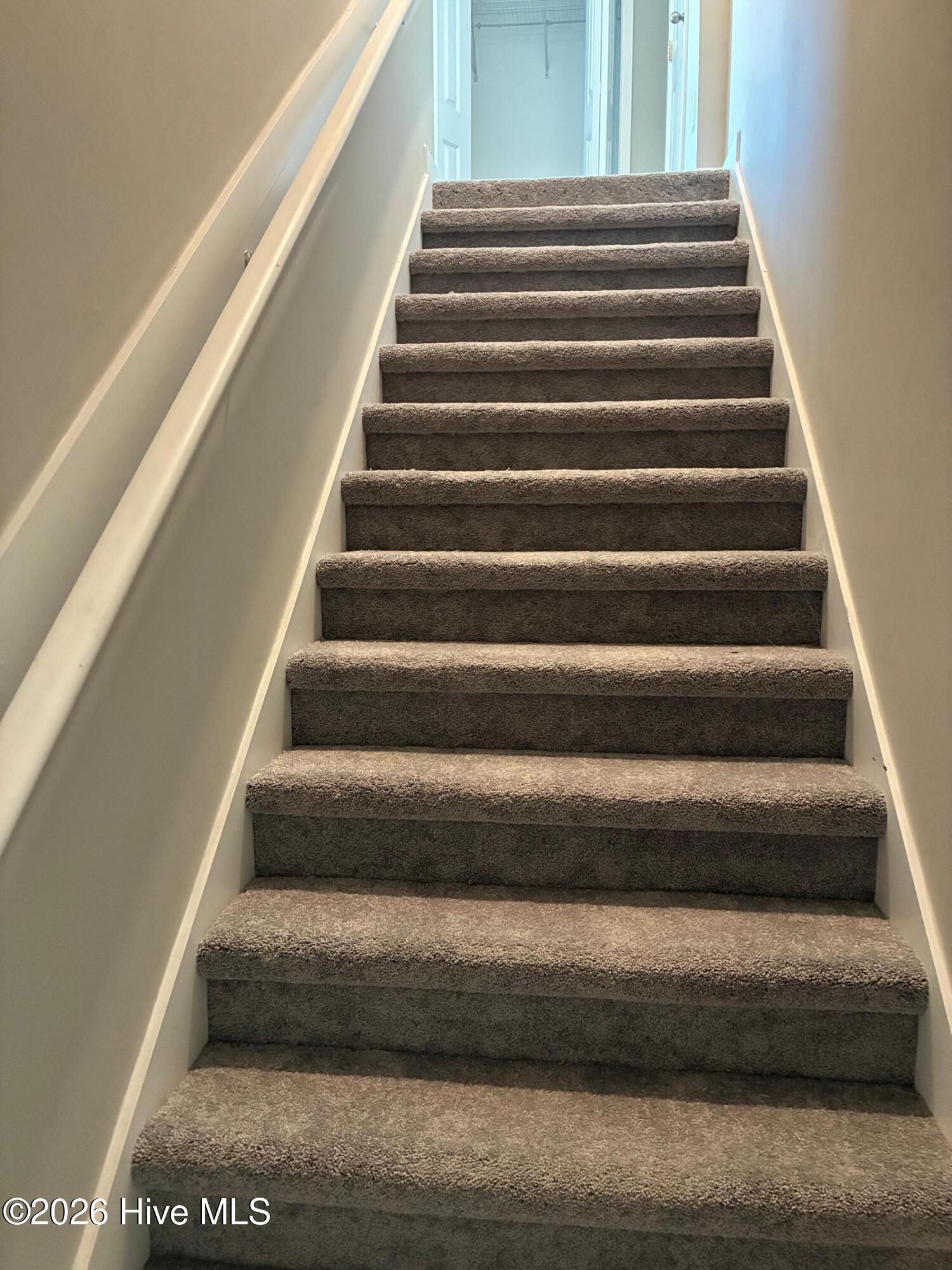 100541730 | Photo 12