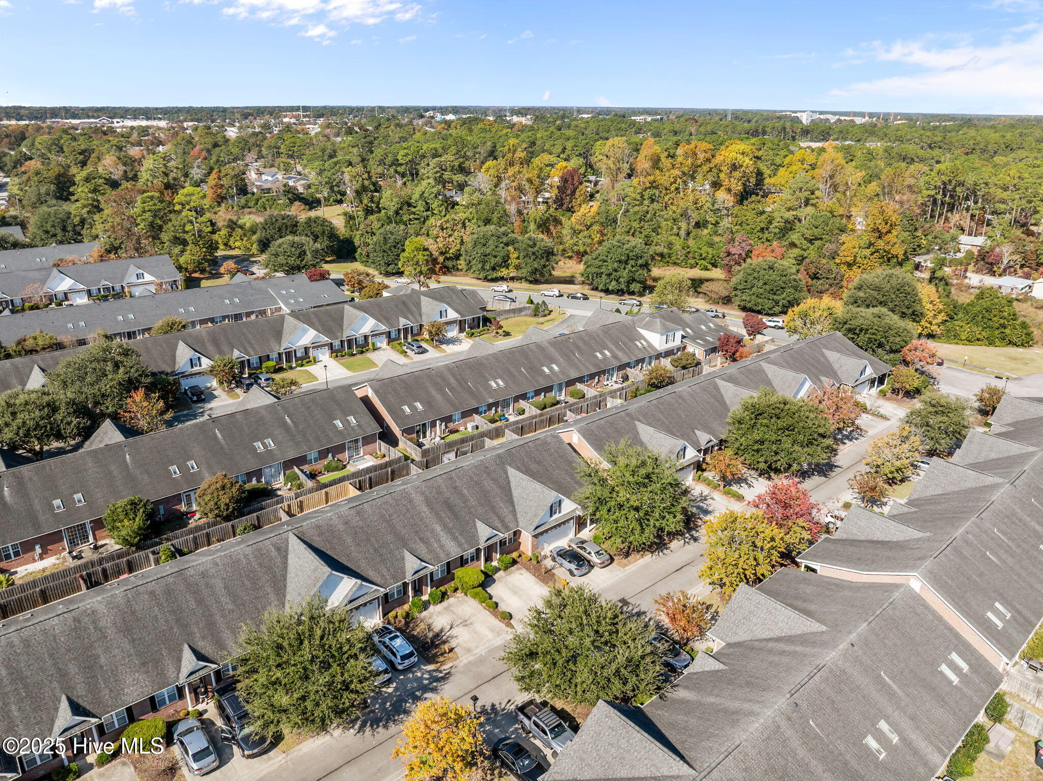 100540244 | Photo 50