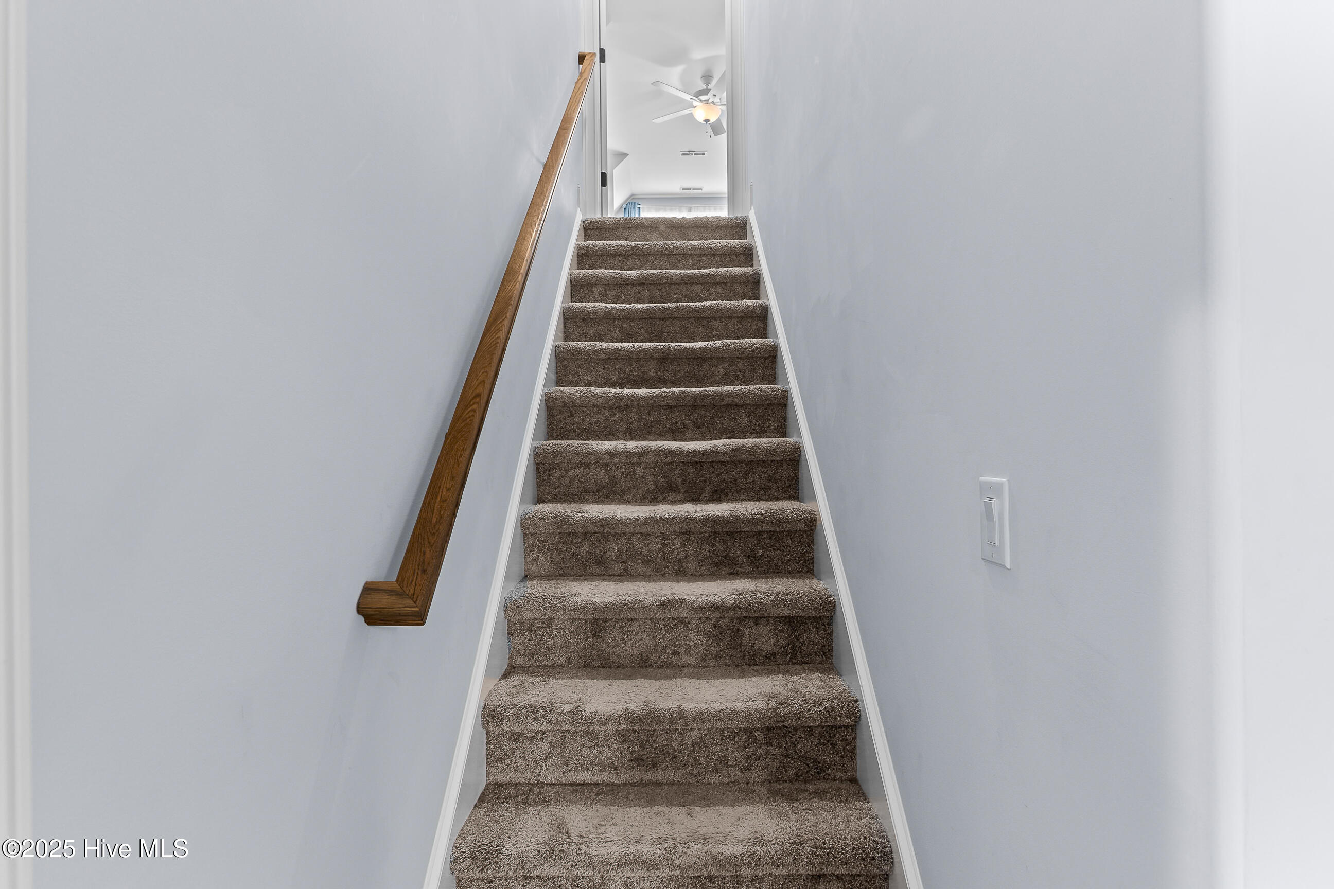 100536190 | Photo 30