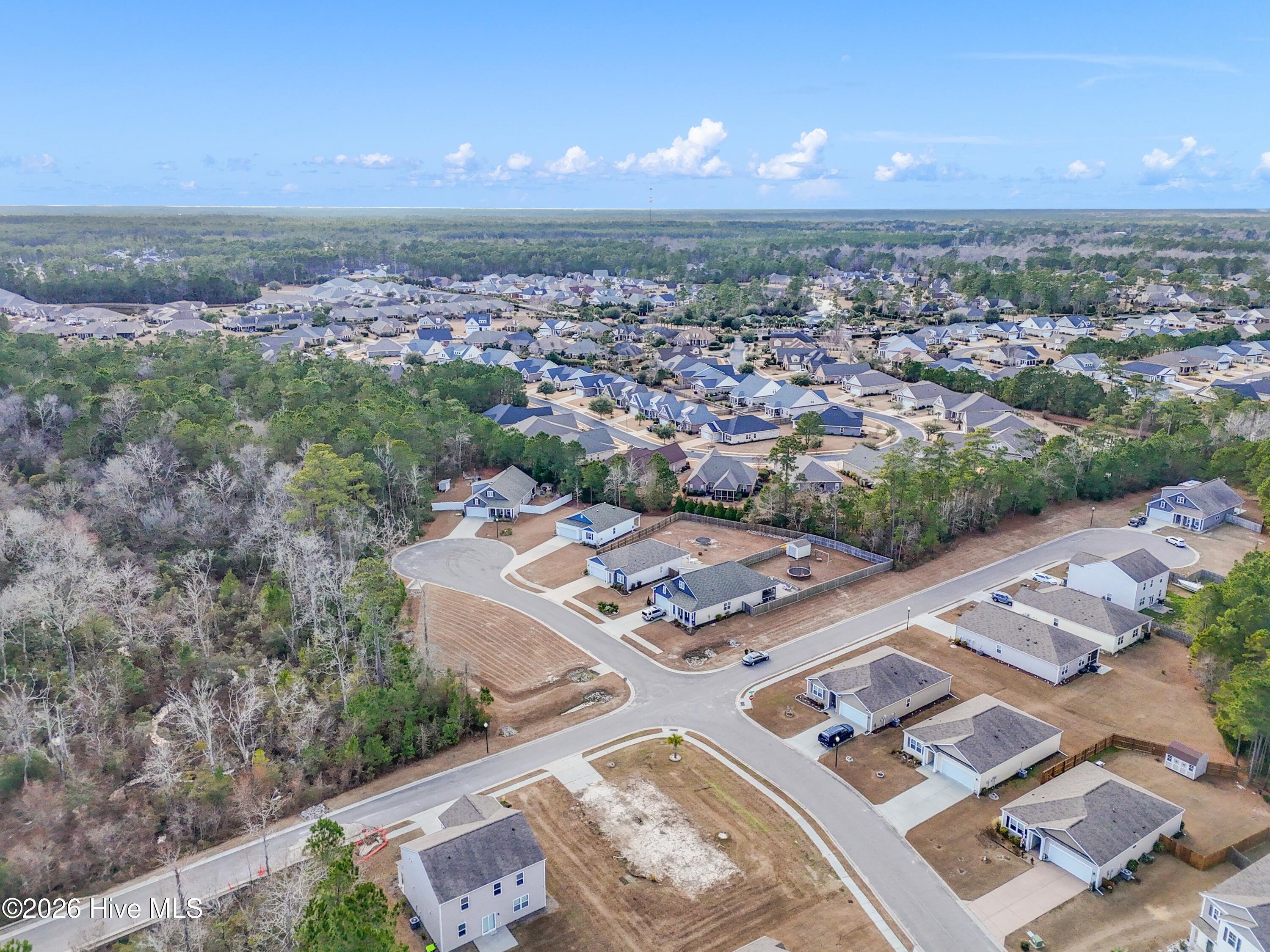 100551003 | Photo 18