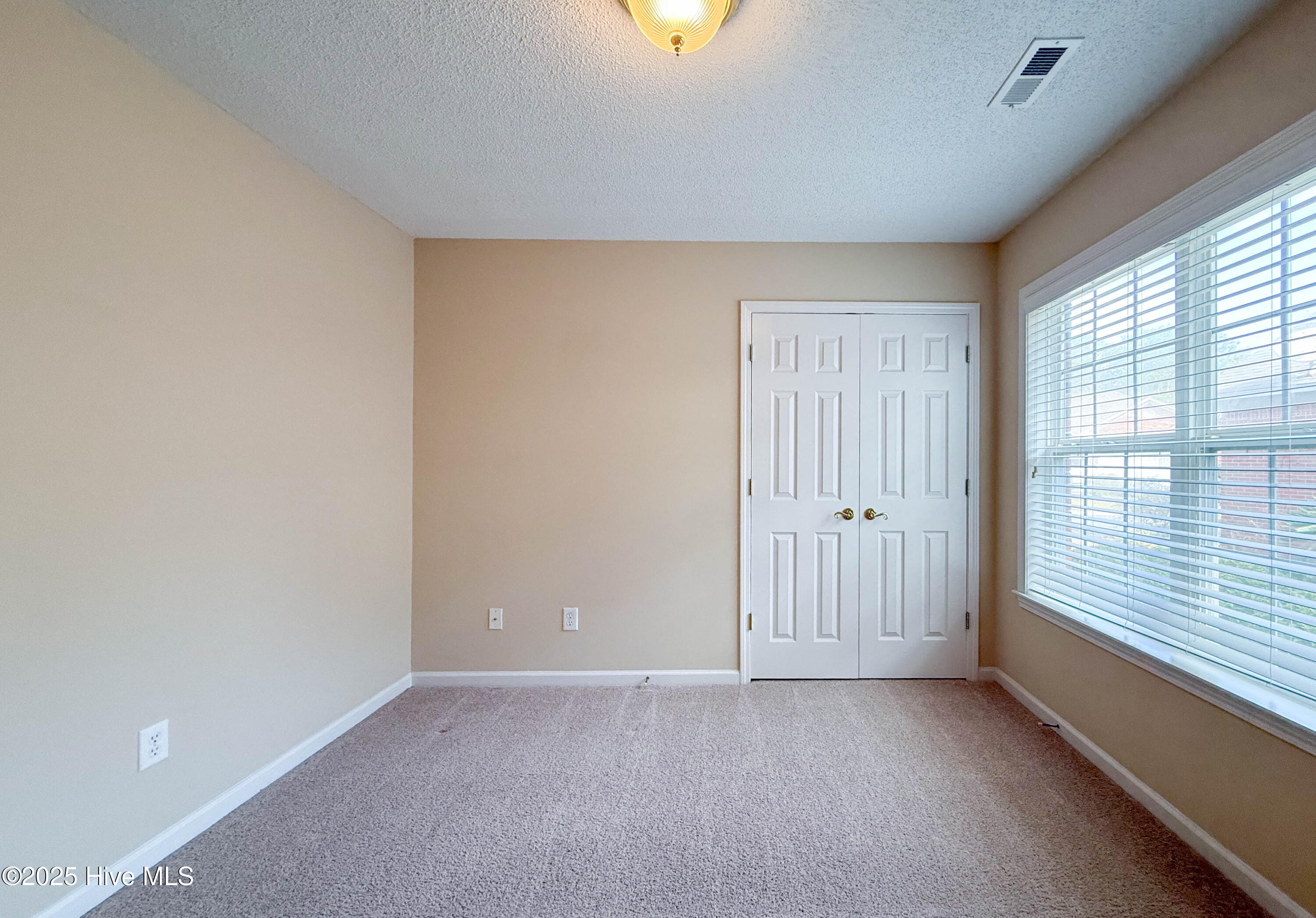 100542356 | Photo 38