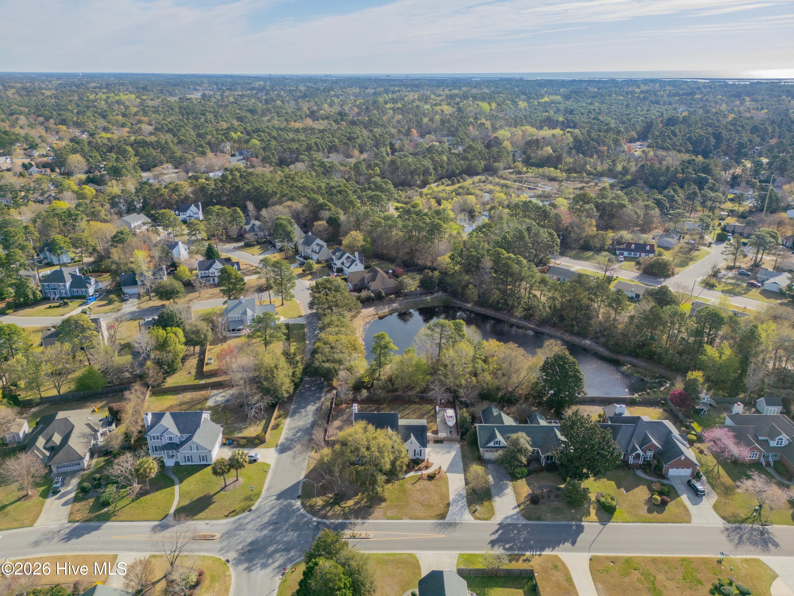 100561567 | Photo 43