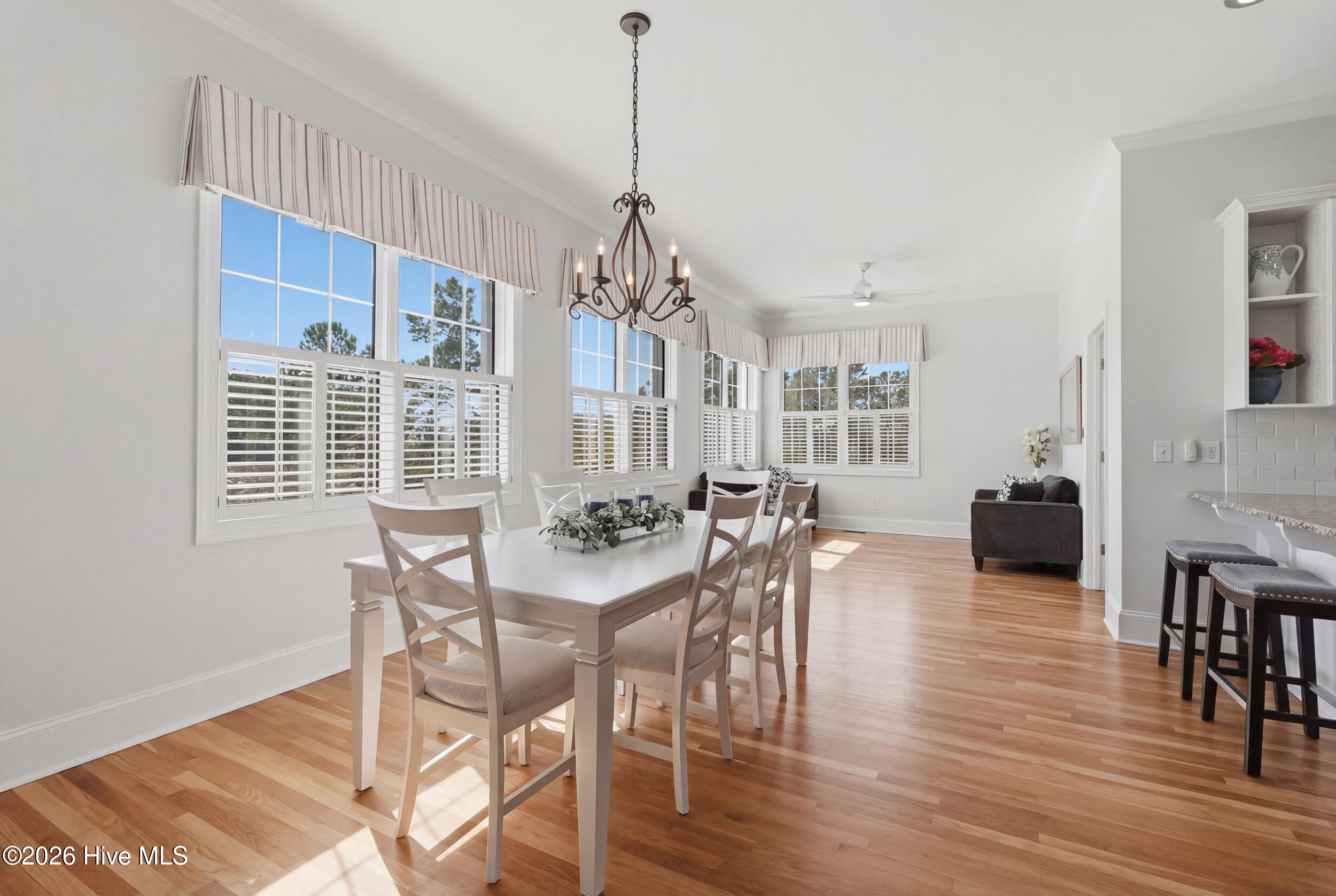 100559694 | Photo 17