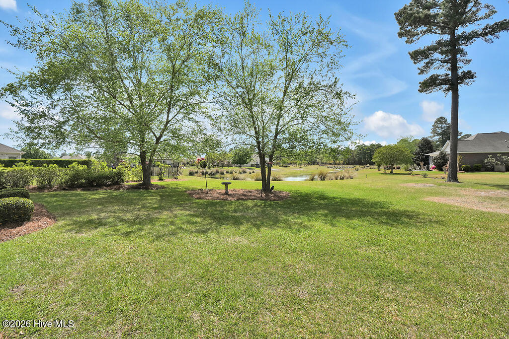 100565145 | Photo 29