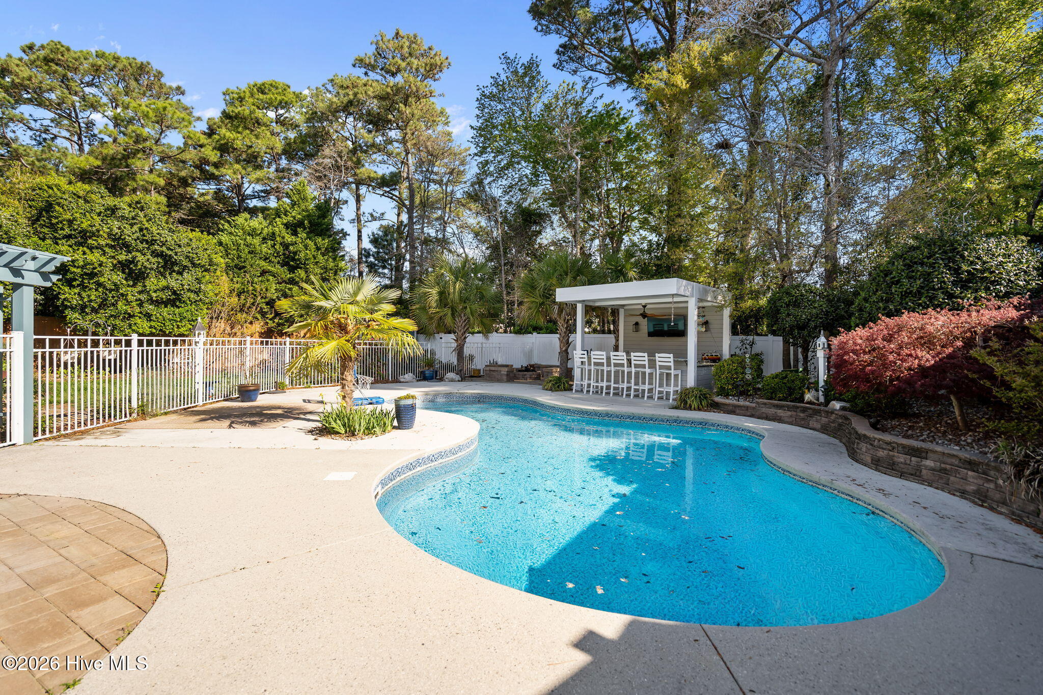 100565239 | Photo 59