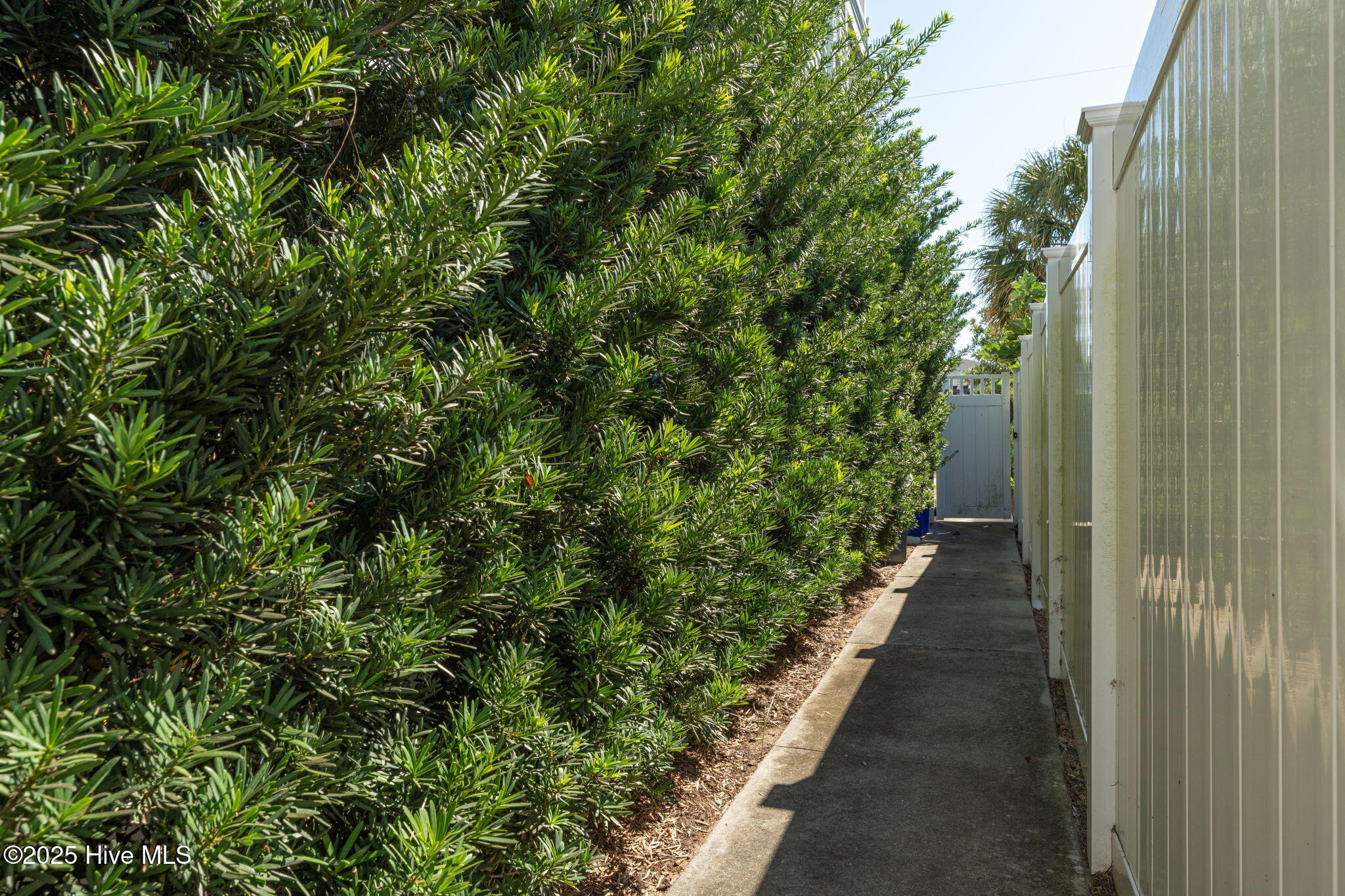 100537095 | Photo 57