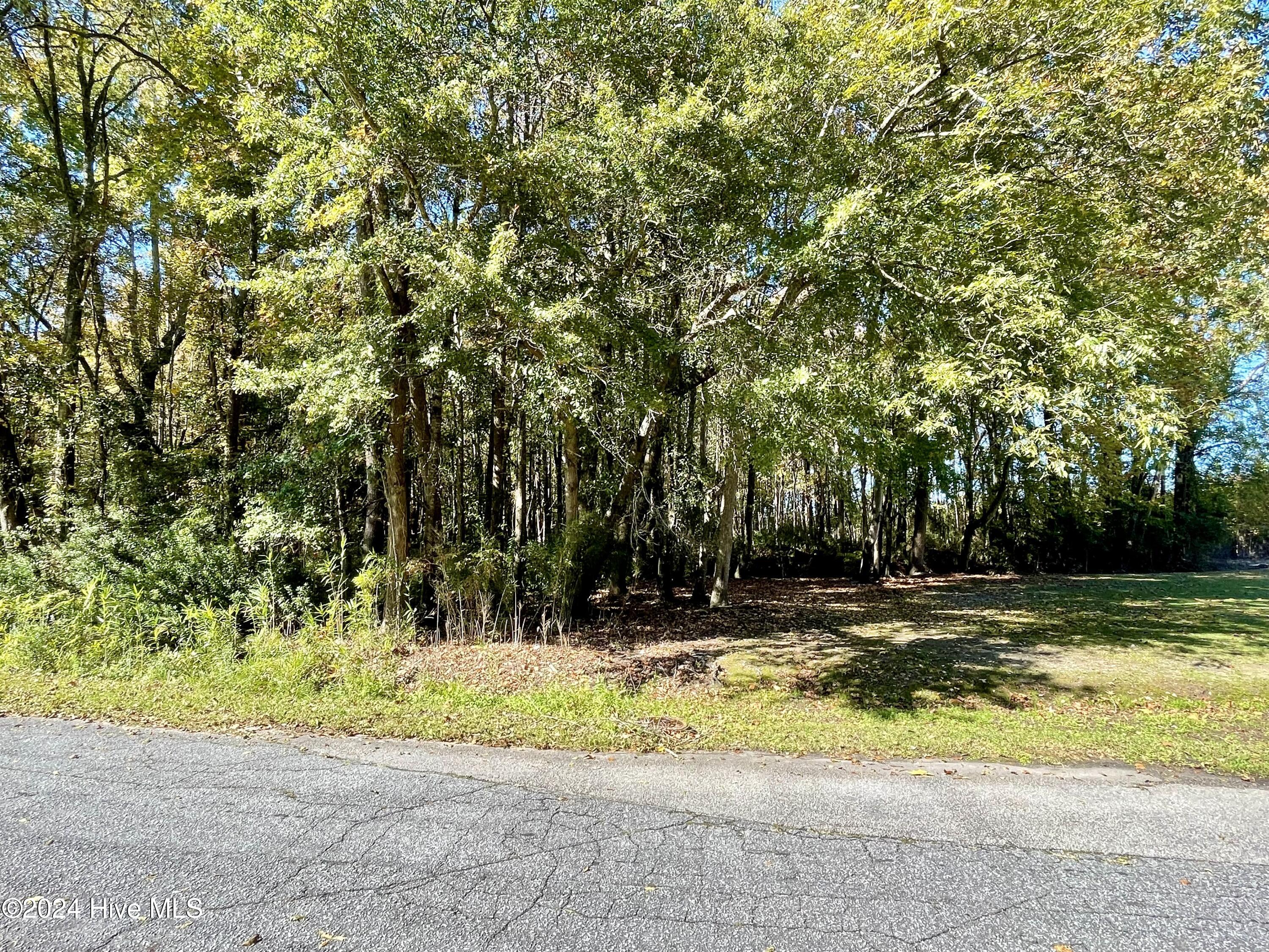 This residential lot in the town of Parmele offers both cleared and wooded areas, covering approximately 0.23 acres. With access to town water and sewer, it's perfect for your new home. Located just 15-20 minutes from Greenville and Tarboro, it provides an easy commute. Visit this property today to explore its potential. Please note that local Parmele zoning codes apply.