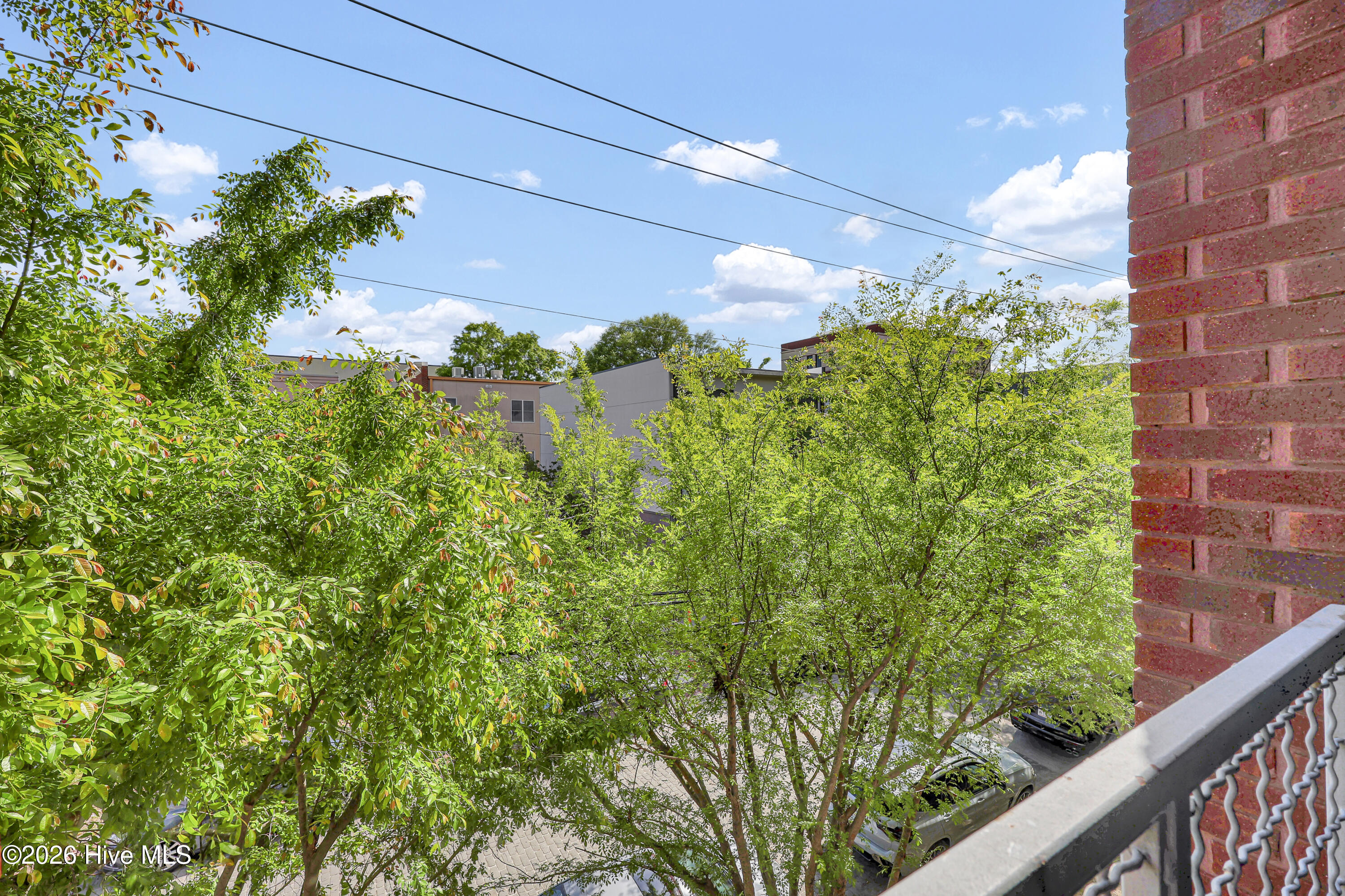 100566335 | Photo 14