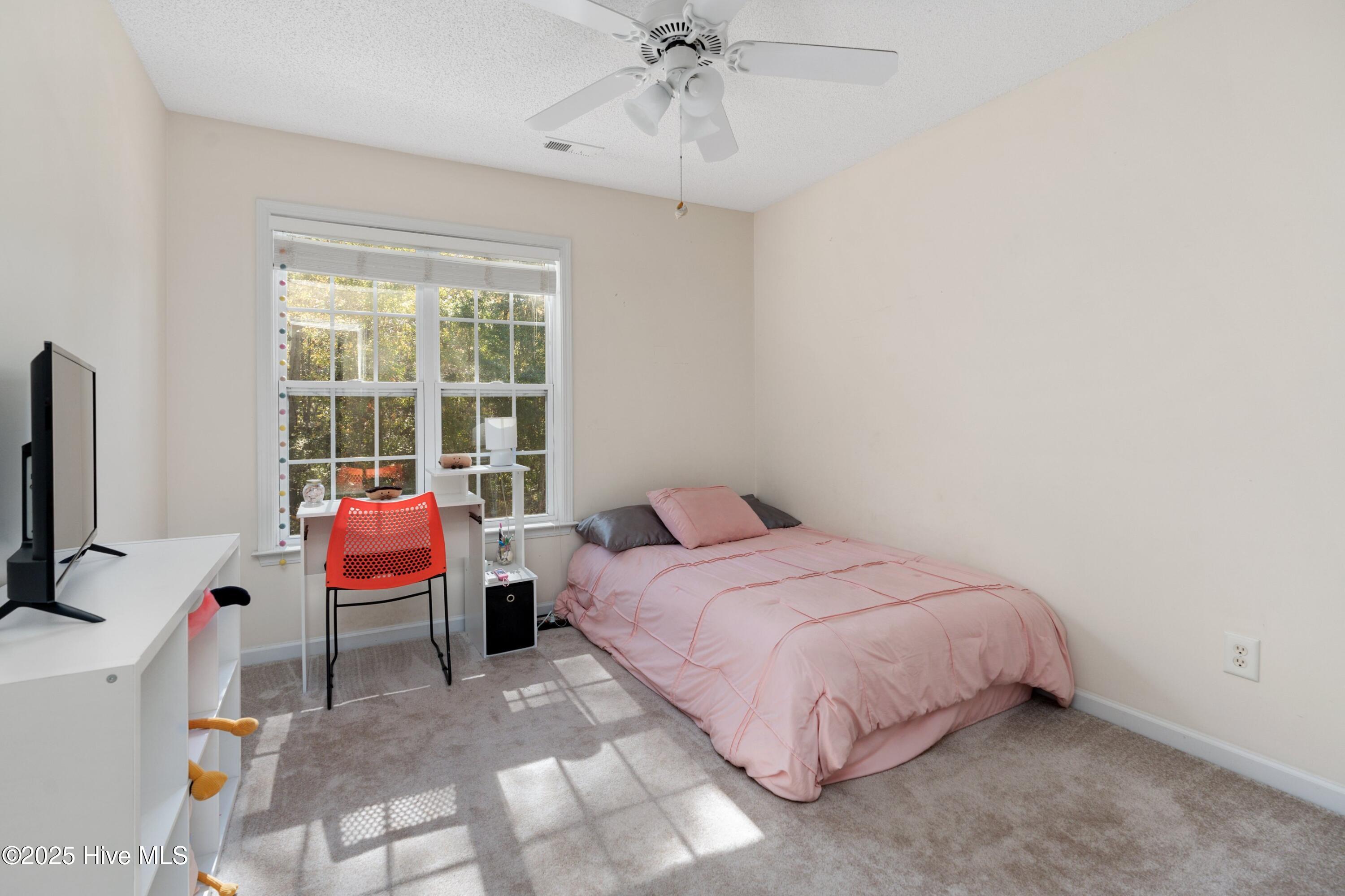 100565121 | Photo 27