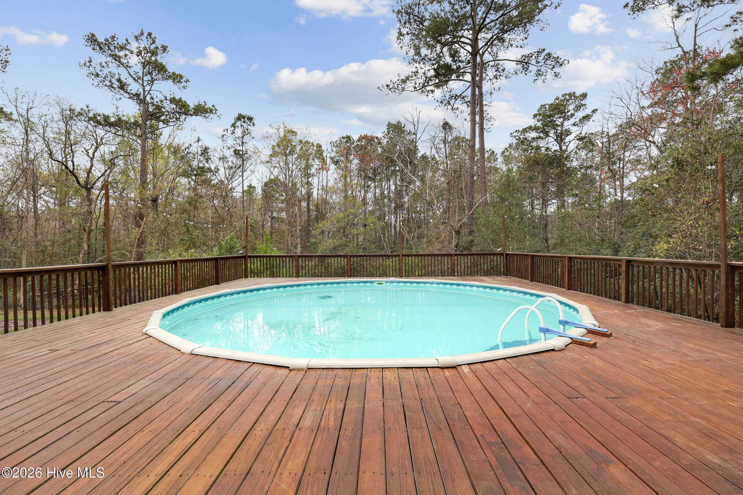 100562179 | Photo 55