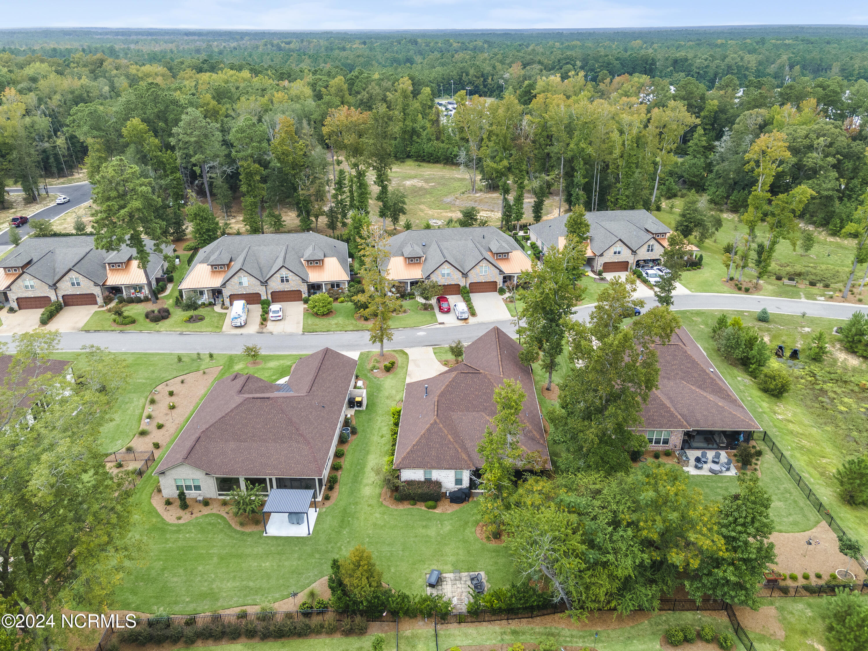 100554009 | Photo 41