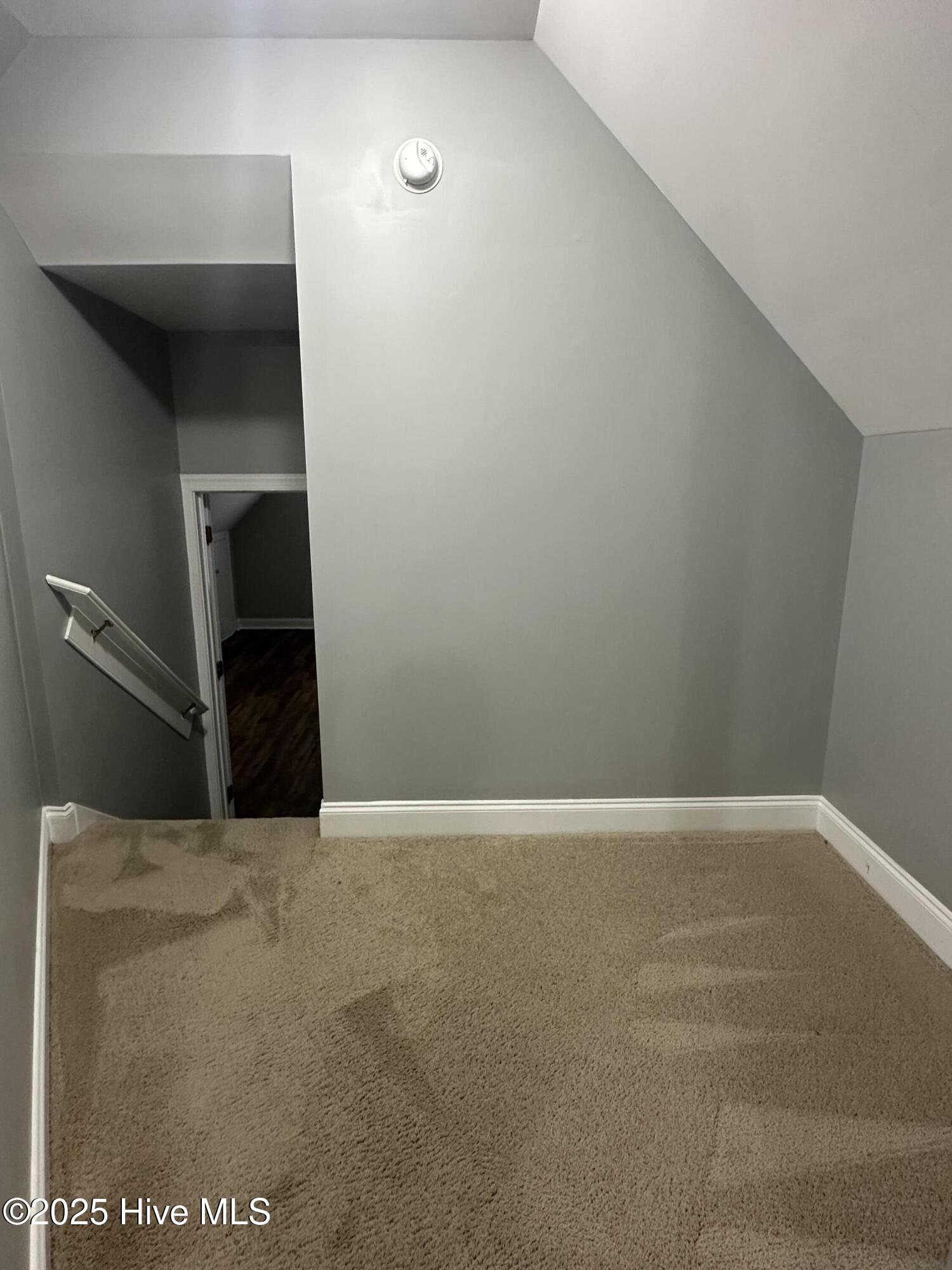 100524744 | Photo 31