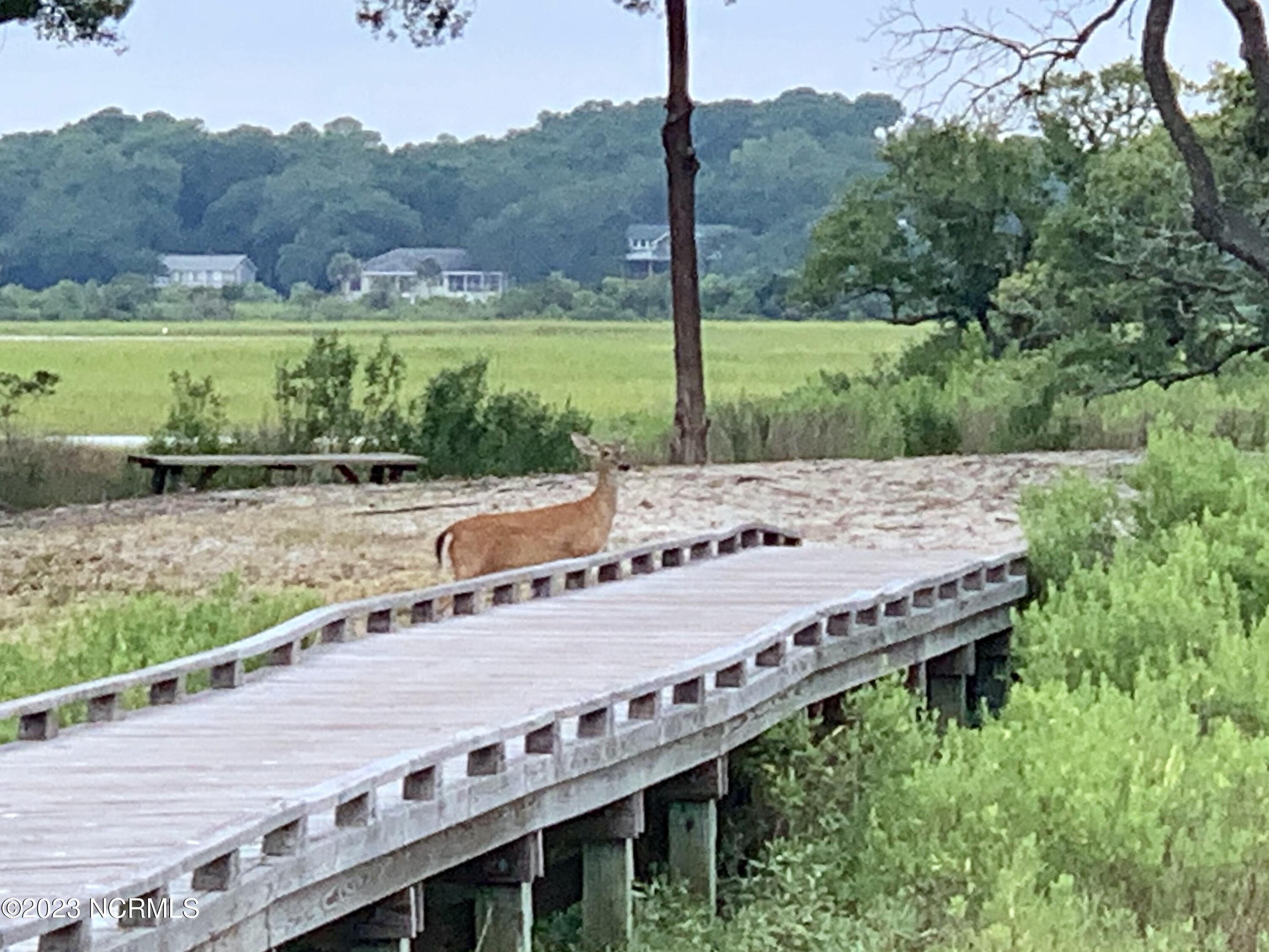 100388234 | Photo 37