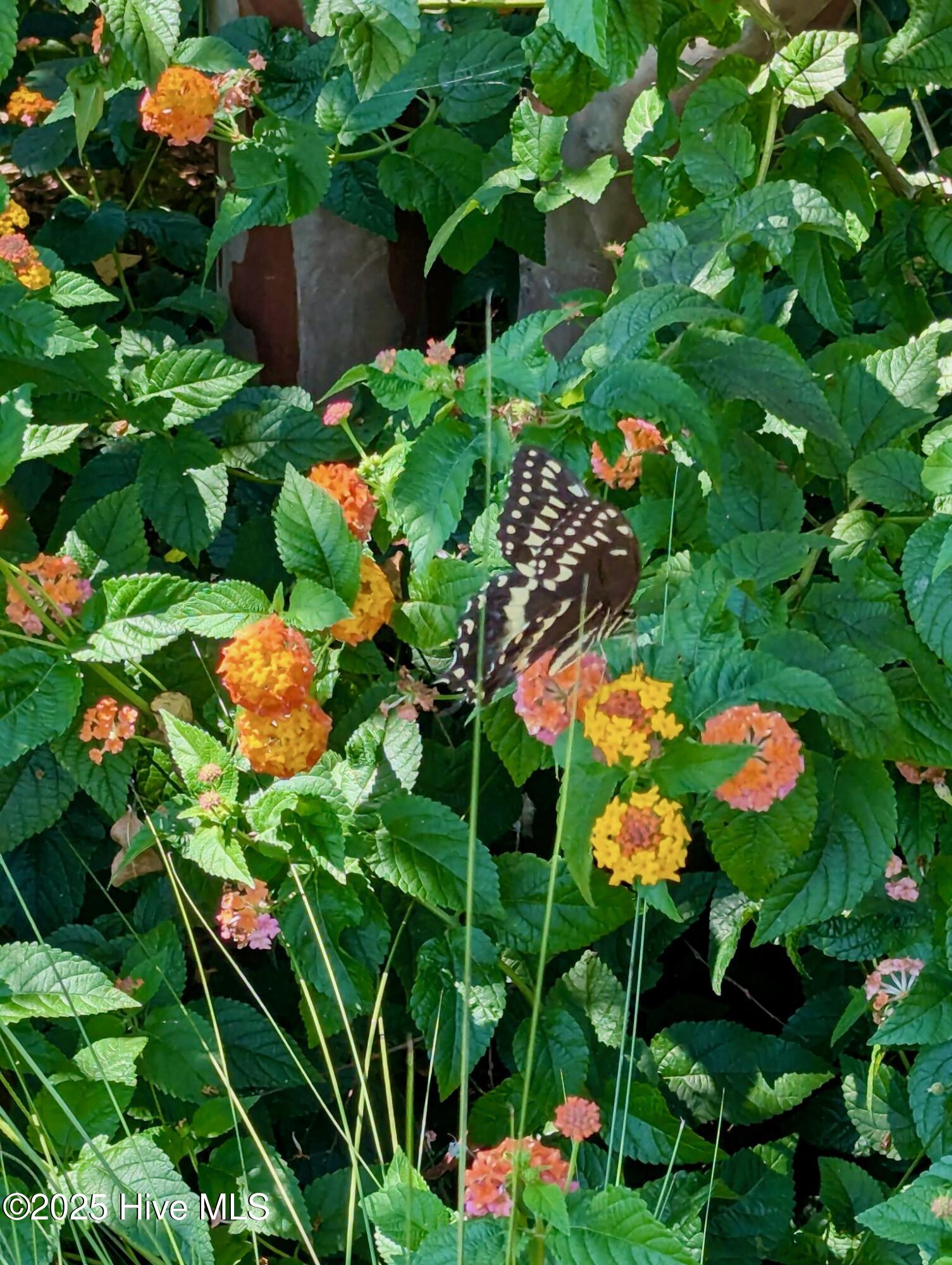 100542604 | Photo 53