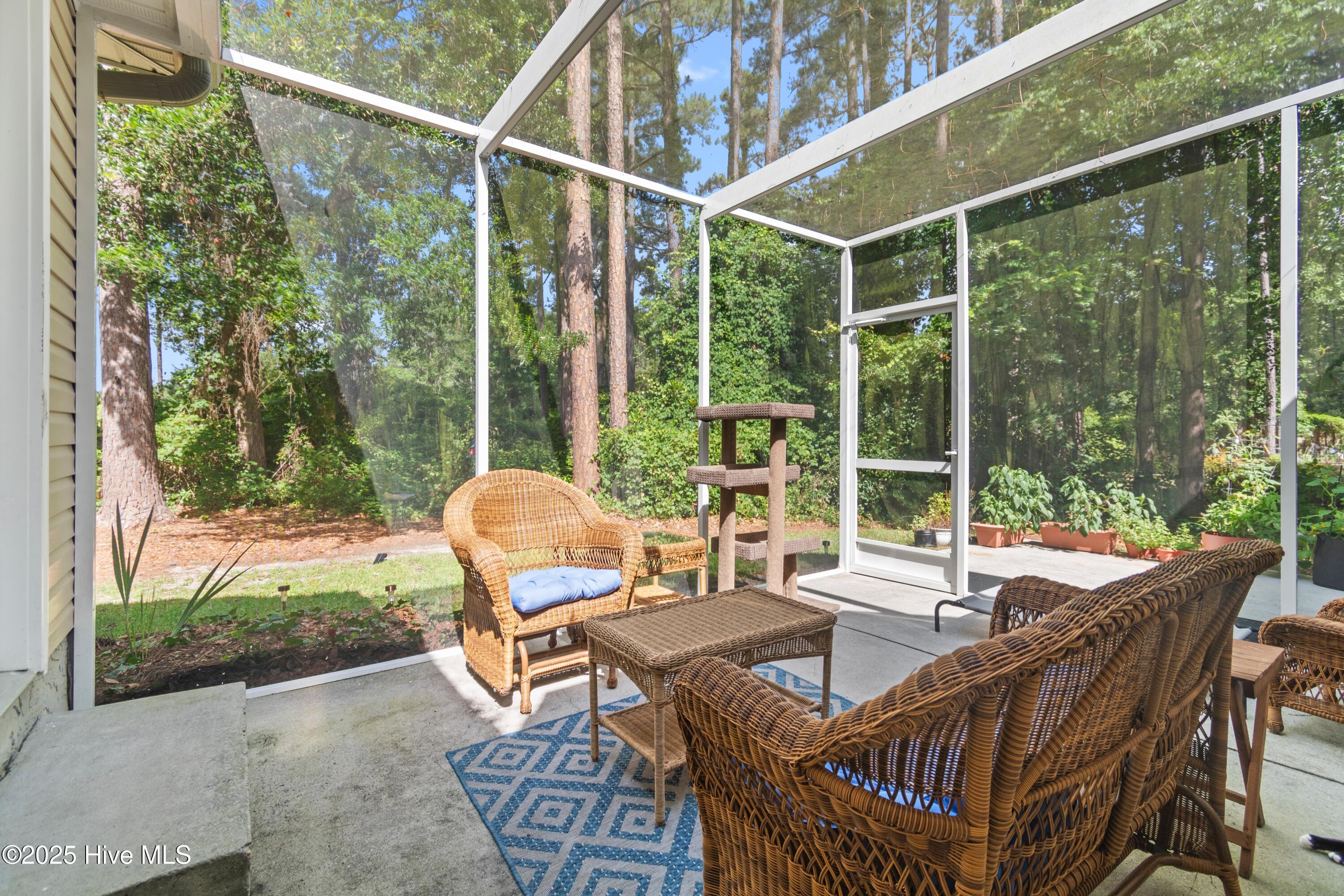 100517176 | Photo 30