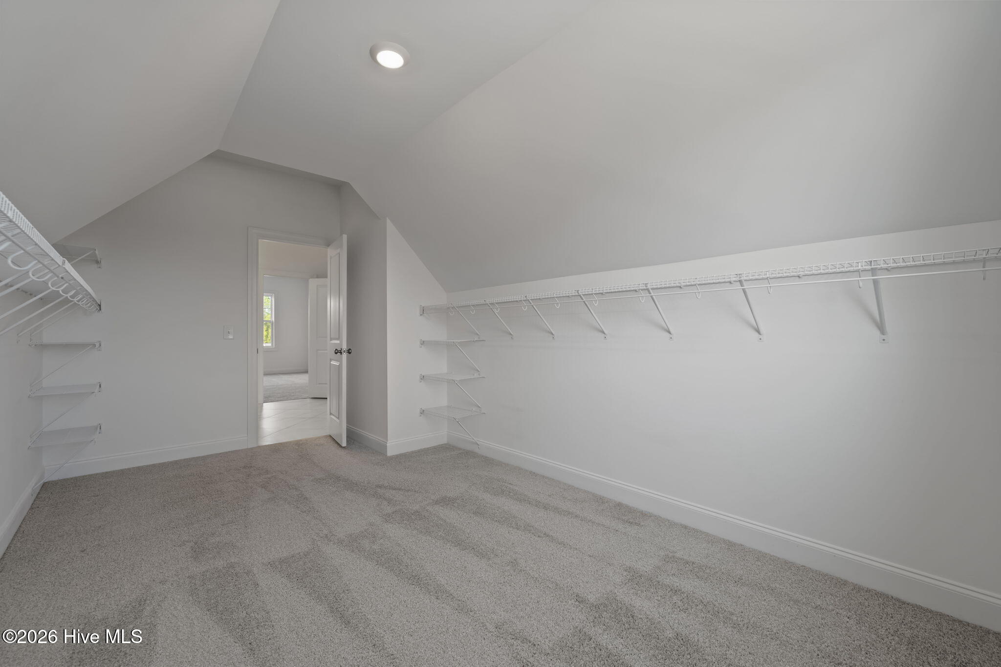 100567807 | Photo 40