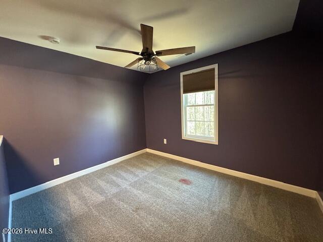 100557520 | Photo 12