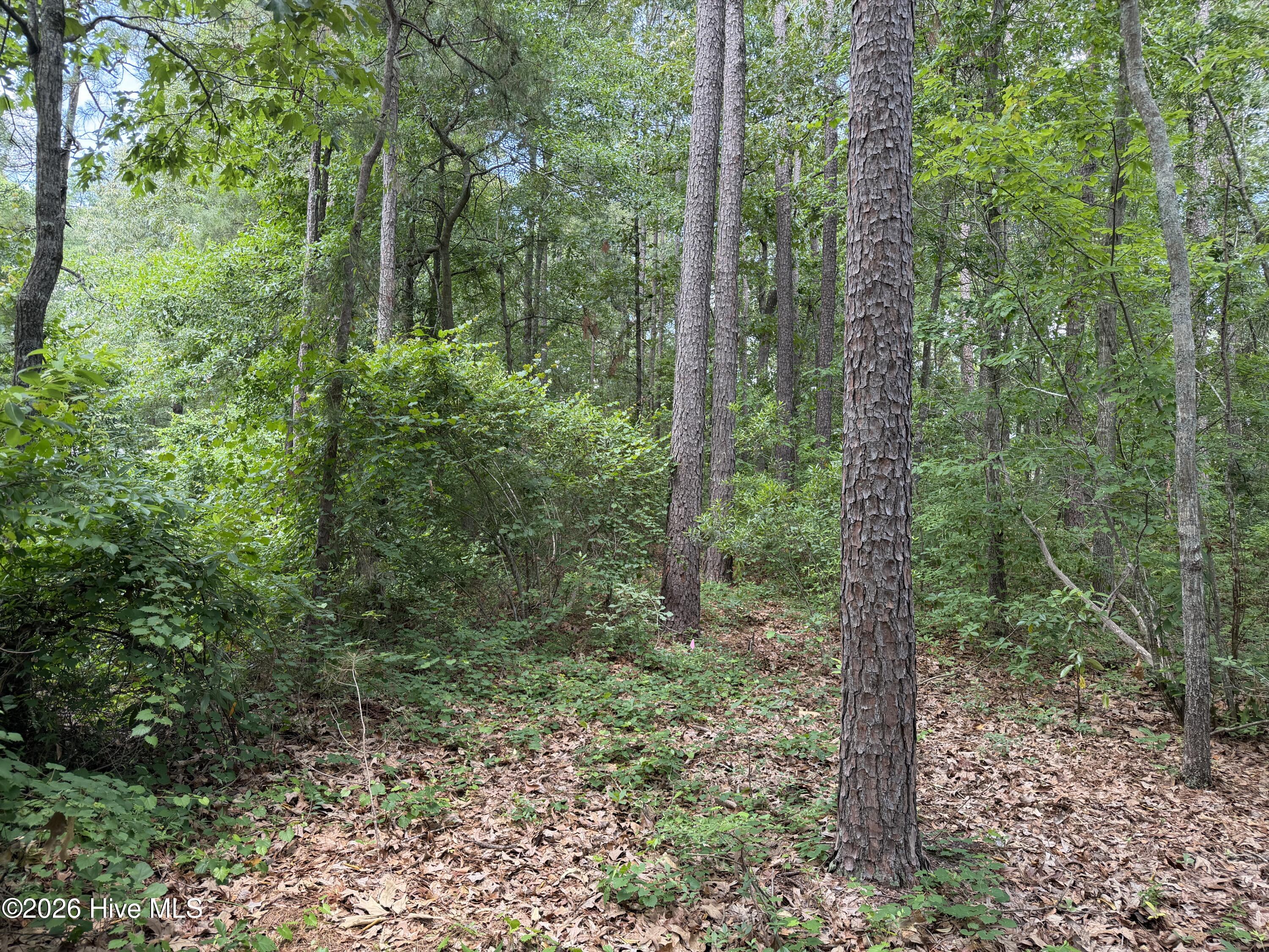 118 66 Ferret Run Lane,New Bern