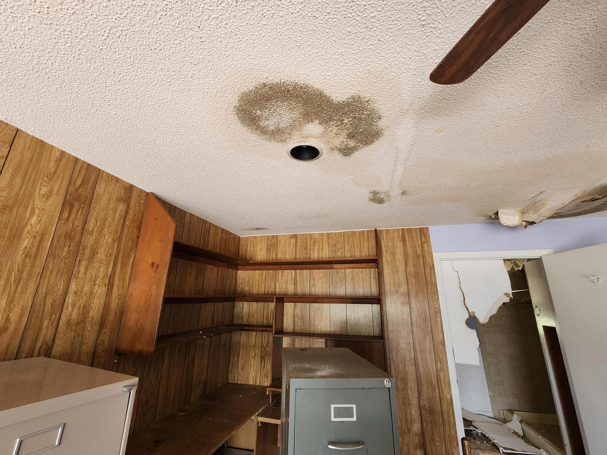 385 W Trippe Street, Harlem, GA, 30814