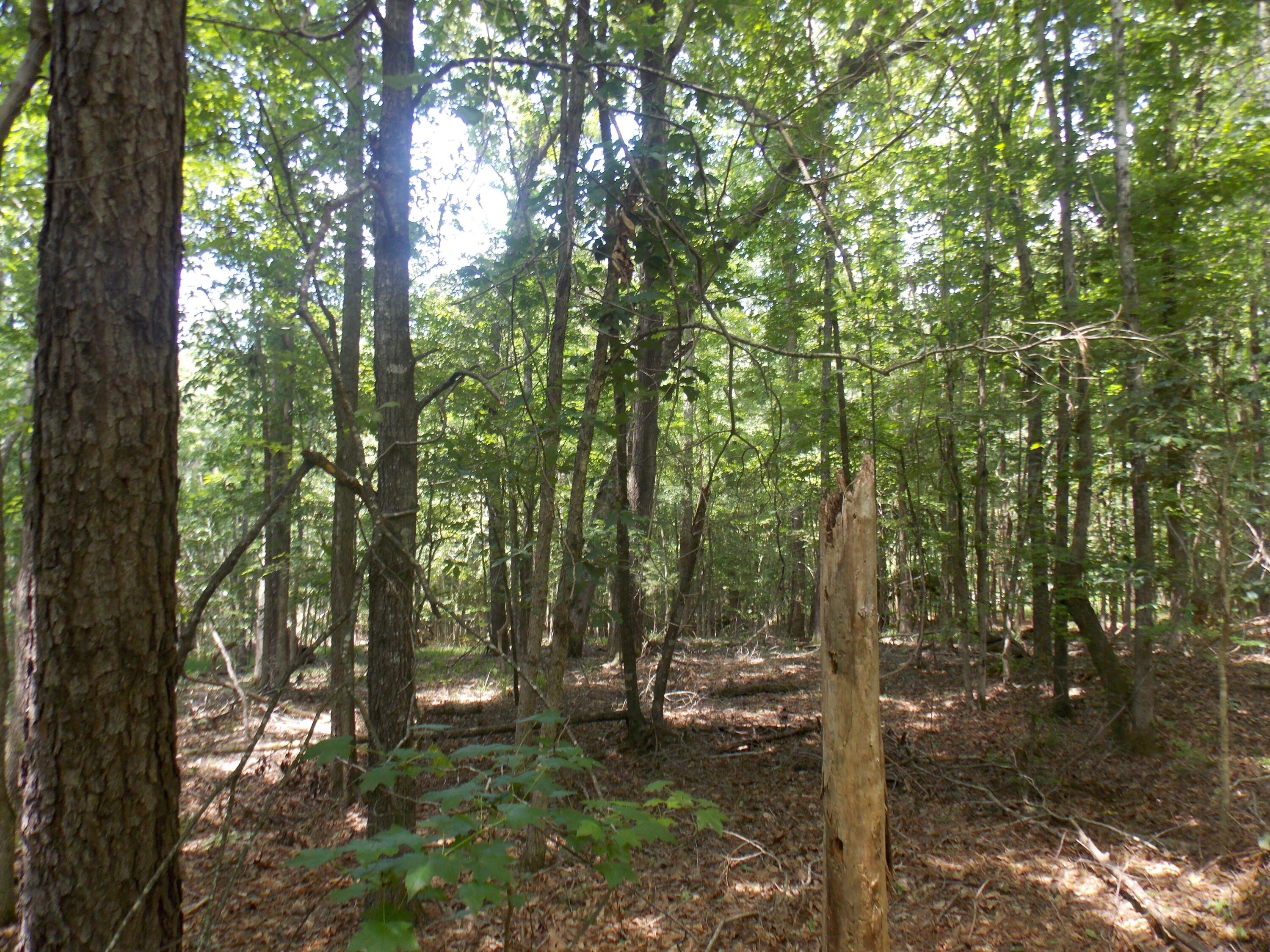 Homes for sale in Tignall, GA | 1054 Pine Point Ln, Tignall, GA 30668 | MLS# 543336