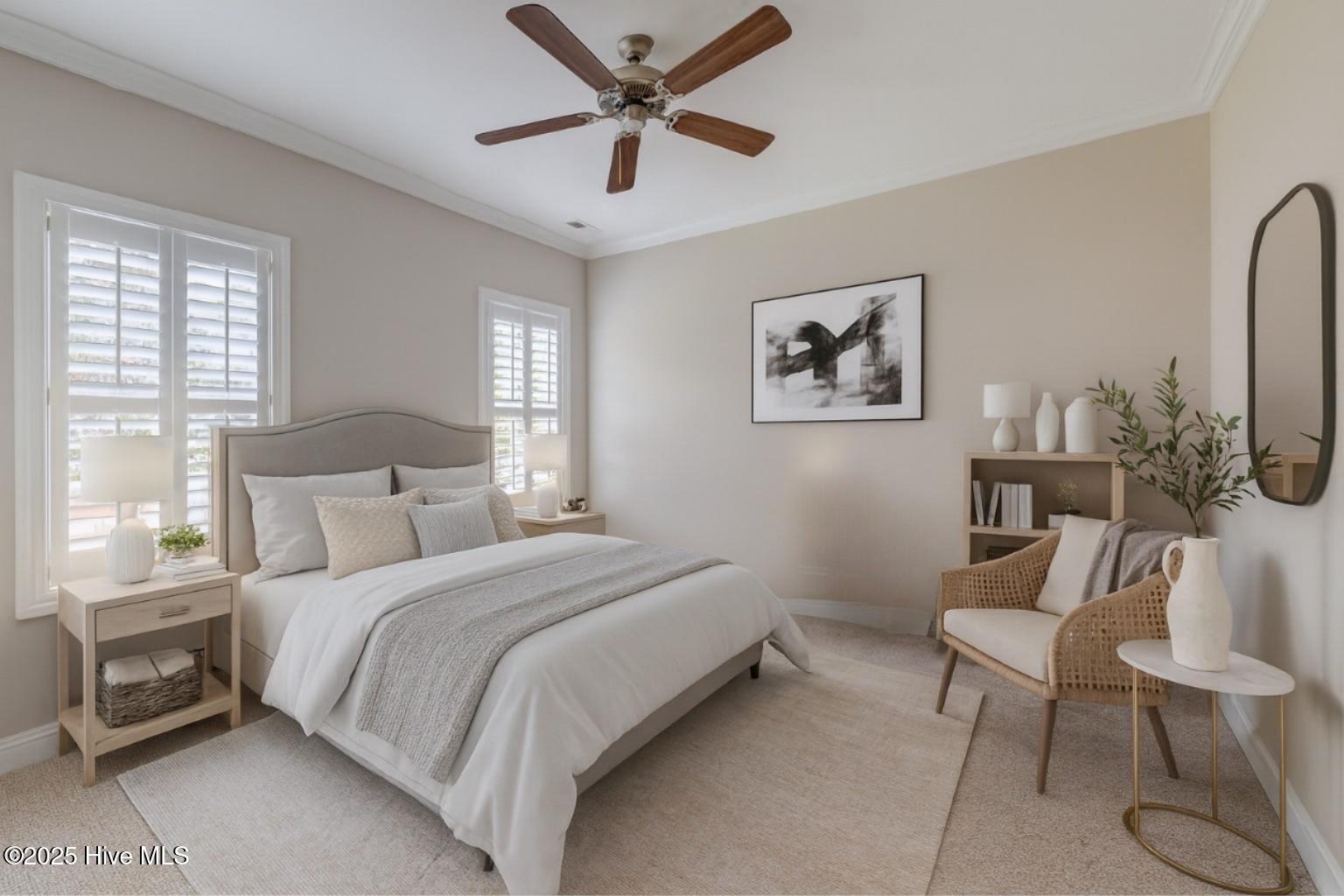 100527898 | Photo 43