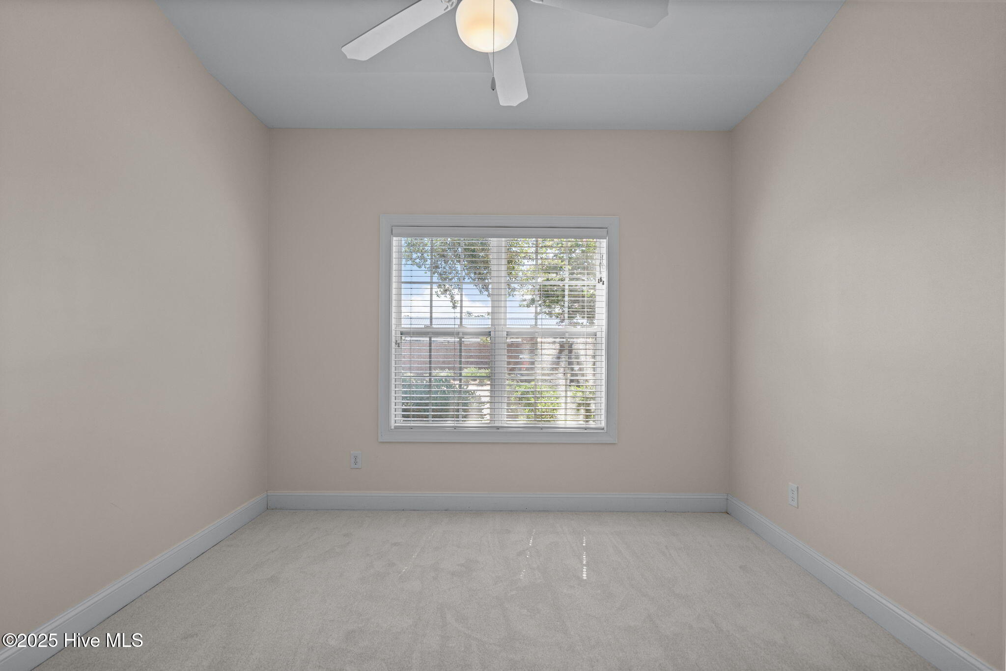 100559458 | Photo 19