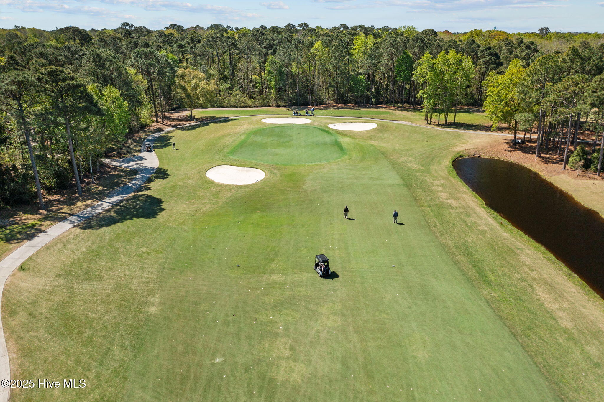 100536215 | Photo 77