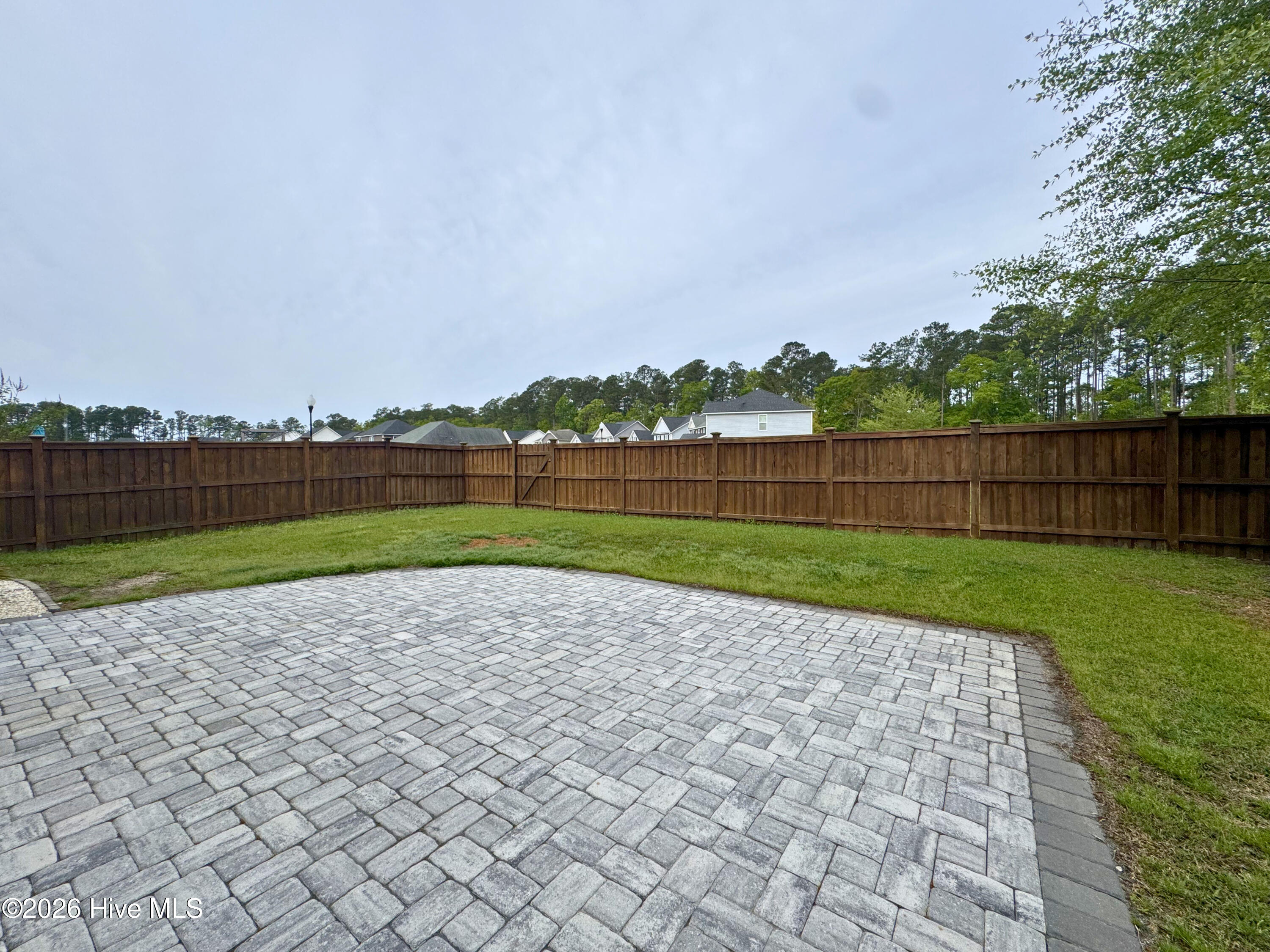 100566006 | Photo 31