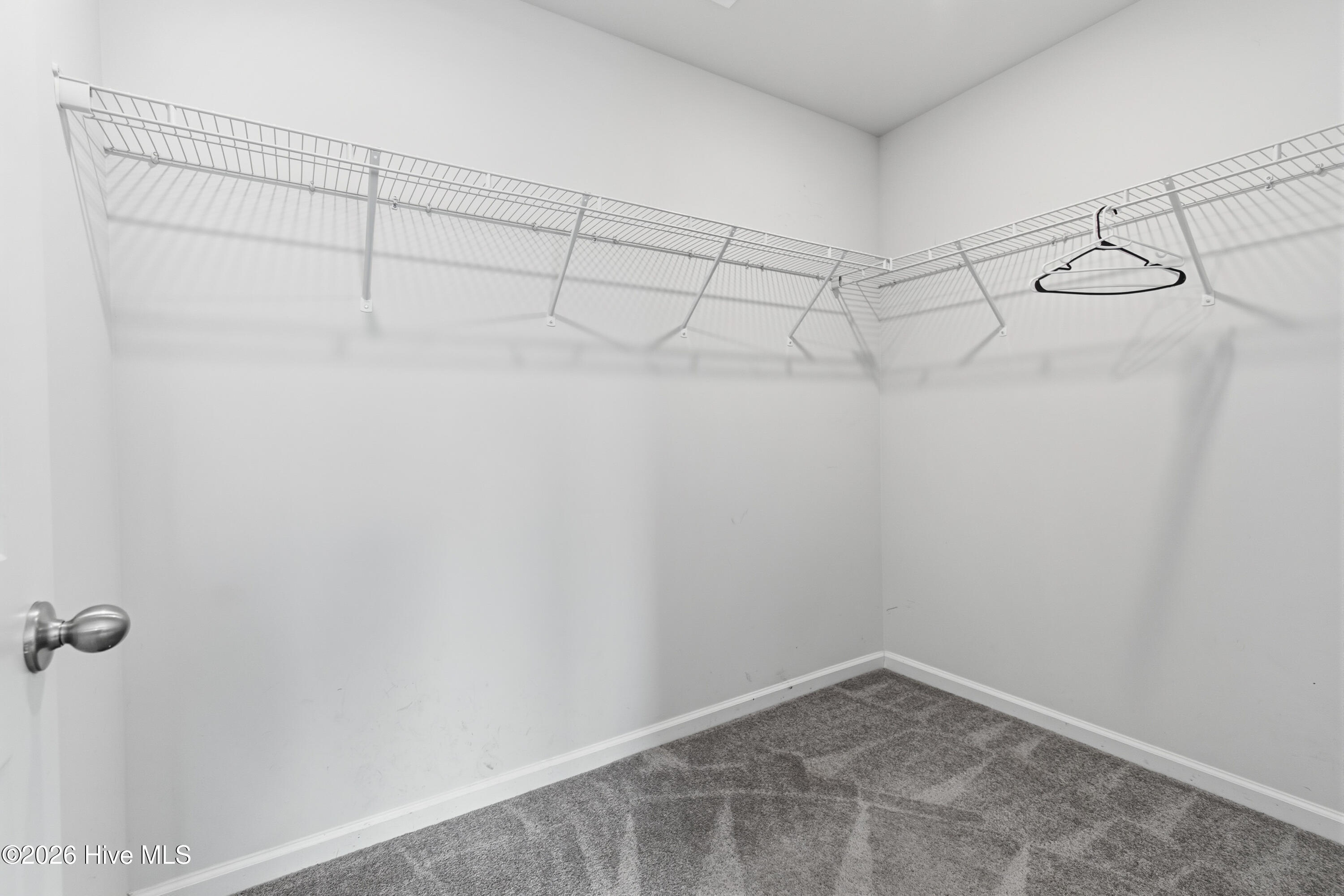 100554412 | Photo 11