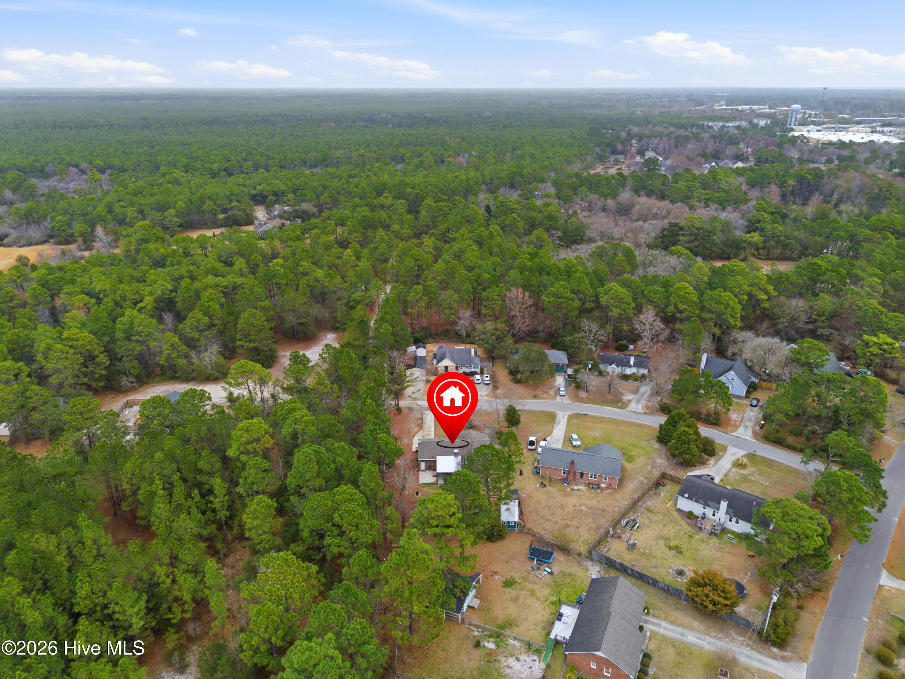 100553315 | Photo 38