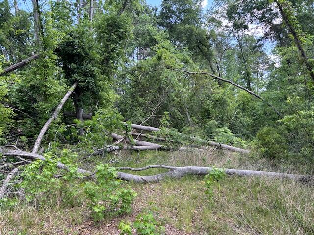 2064 Glenn Falls, Grovetown, GA, 30813