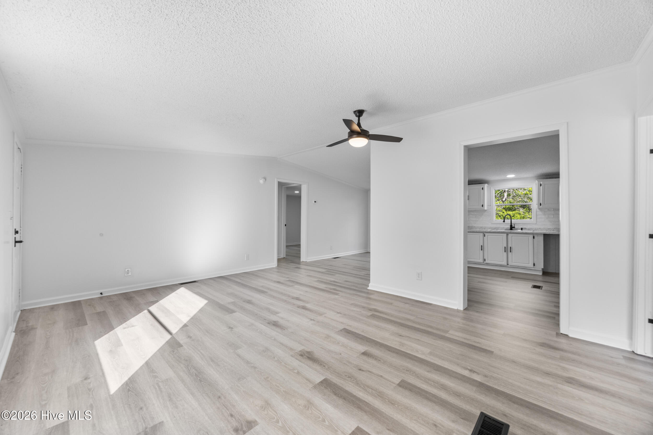 100566039 | Photo 14