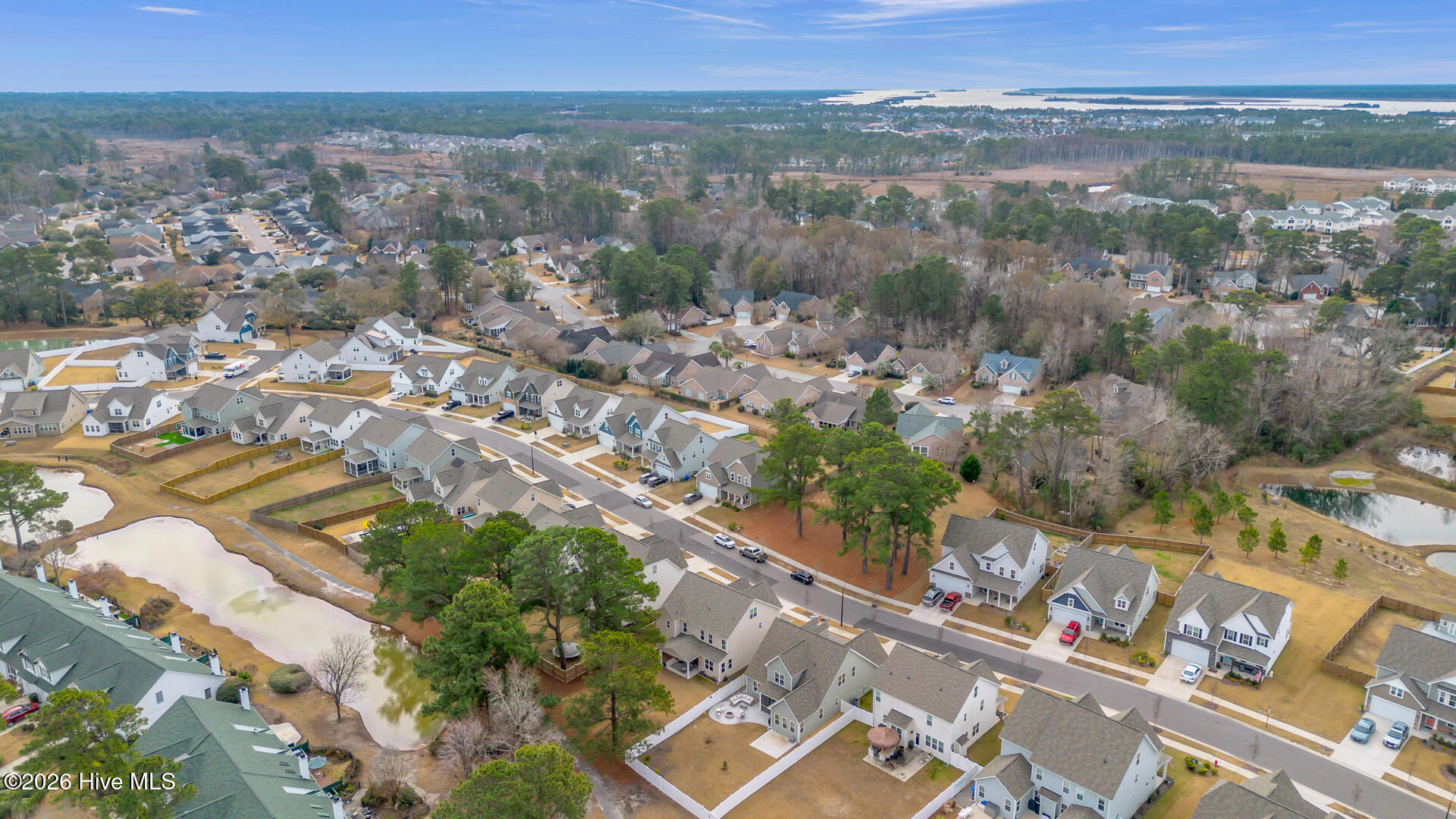 100549355 | Photo 52