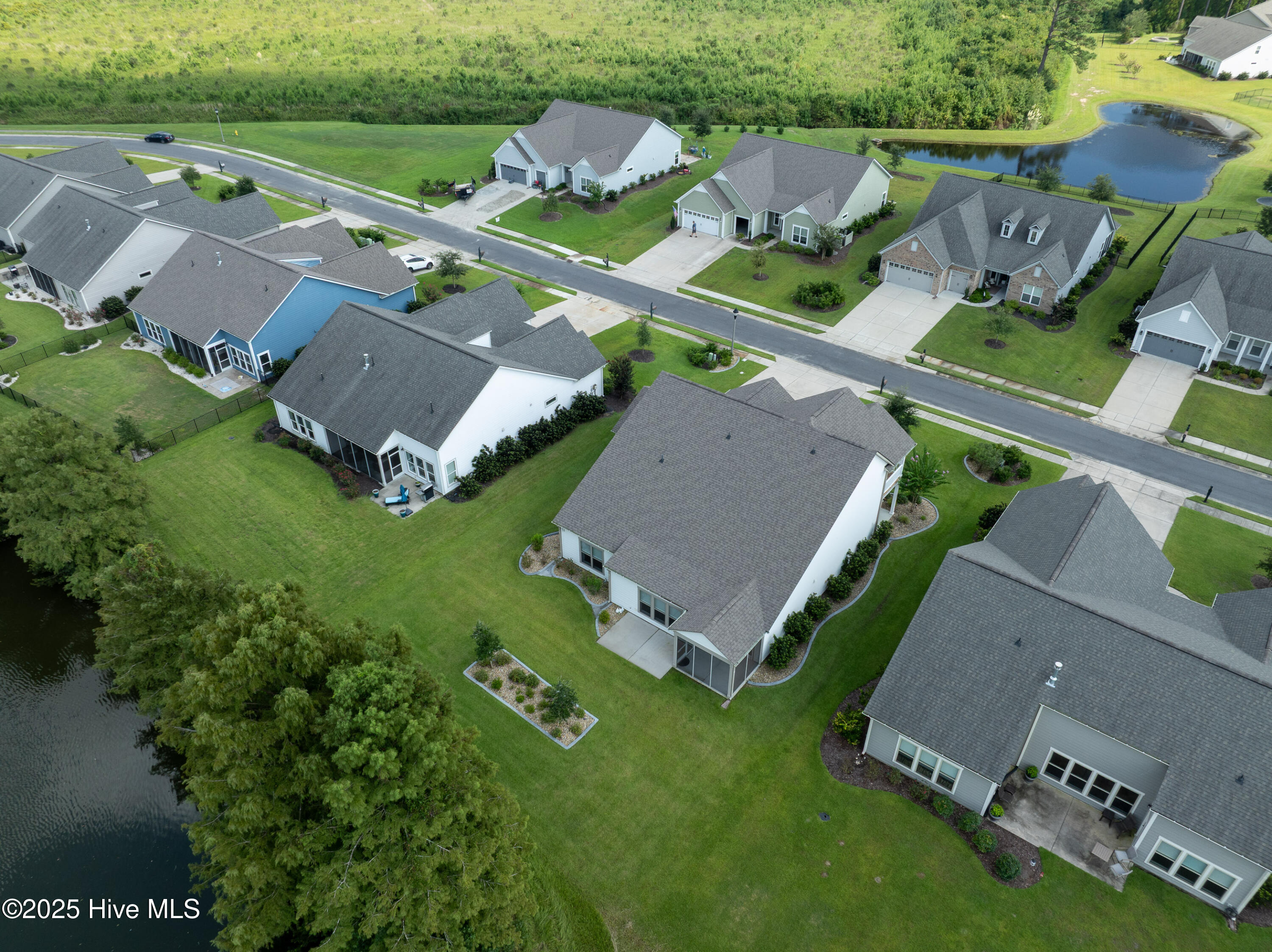 100526662 | Photo 58