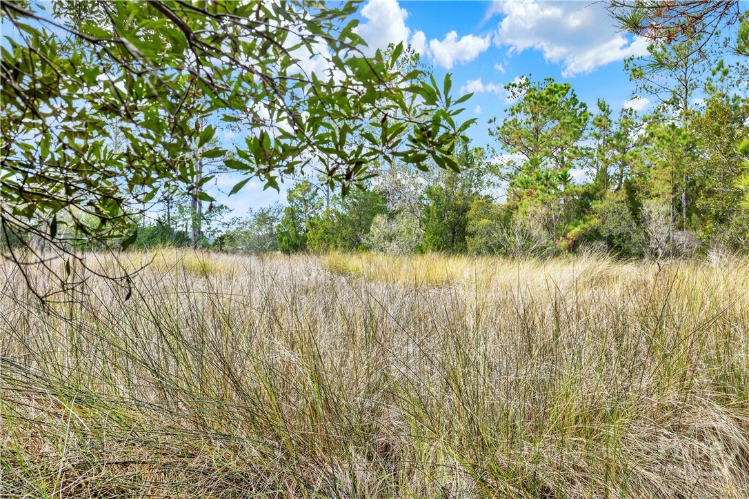 5th image of 187 Burton Rd, Savannah, GA 31405 | MLS# SA340615