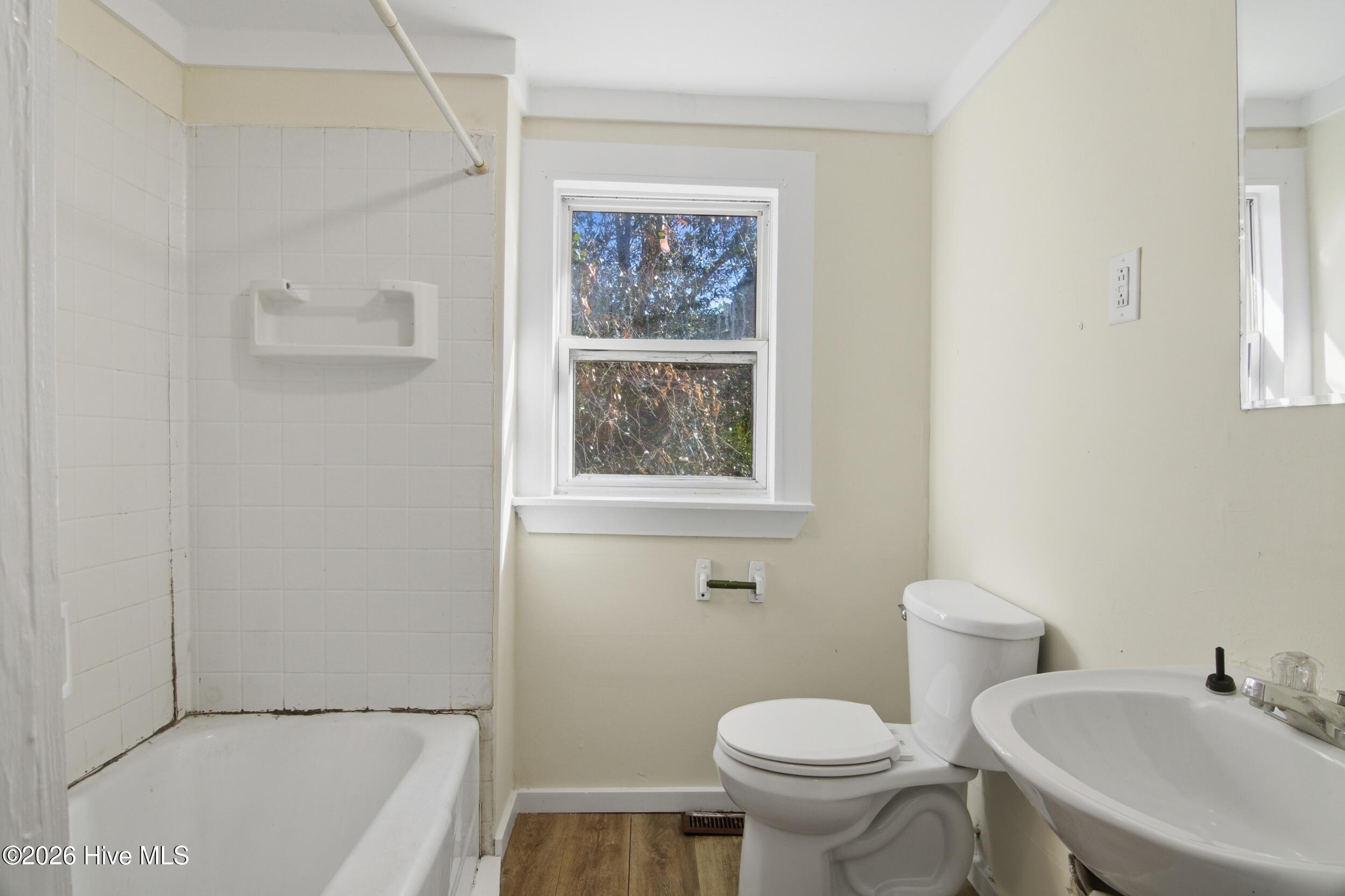 100558258 | Photo 19