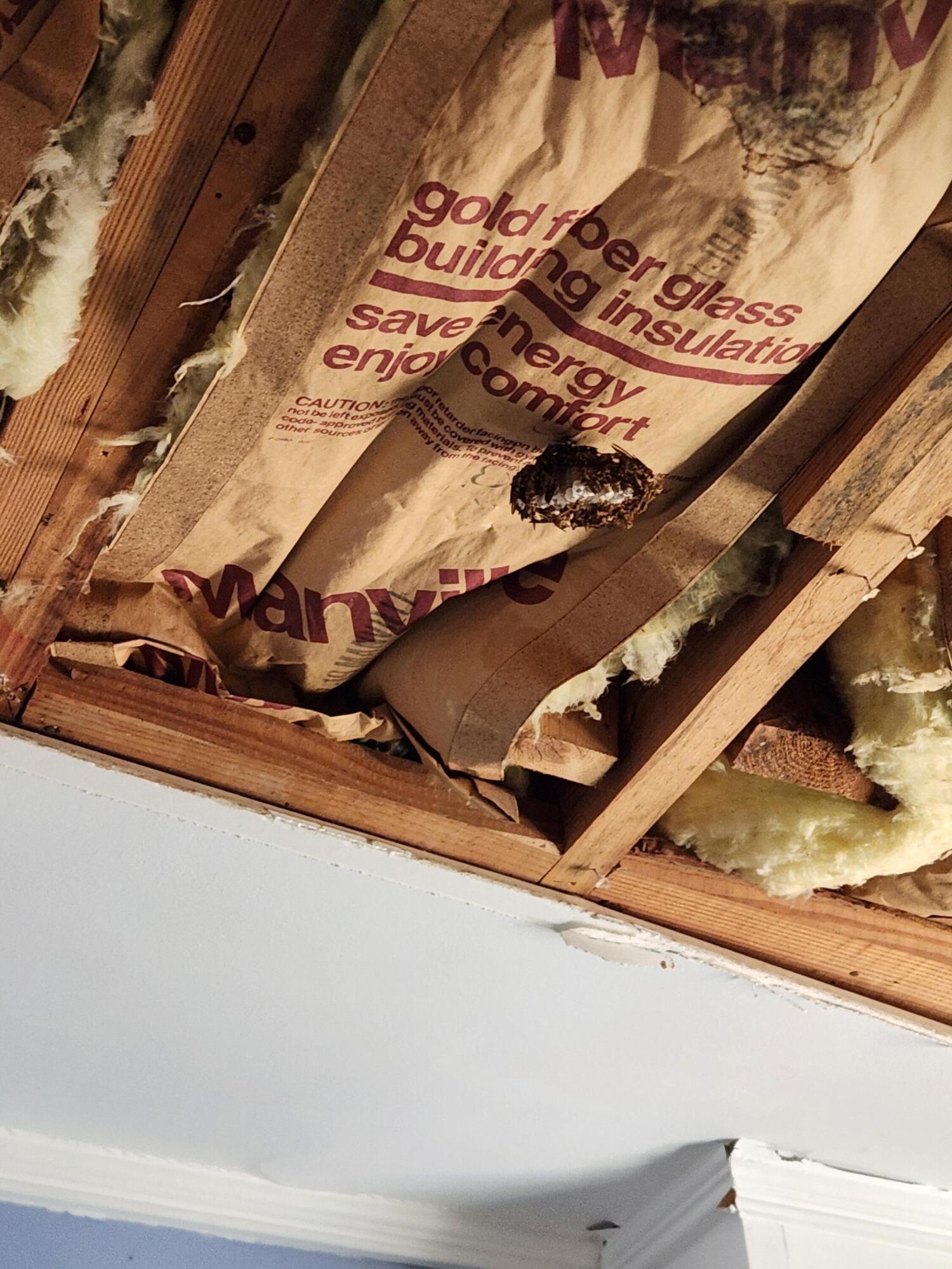 385 W Trippe Street, Harlem, GA, 30814